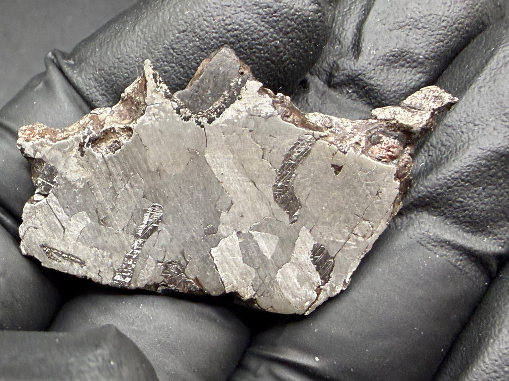 Kaalijarv iron meteorite, IAB-MG, 12.83 g slice held in a gloved hand, second face with lighter kamacite areas, narrow dark bands with Neumann lines, and brown weathered metal along the upper edge