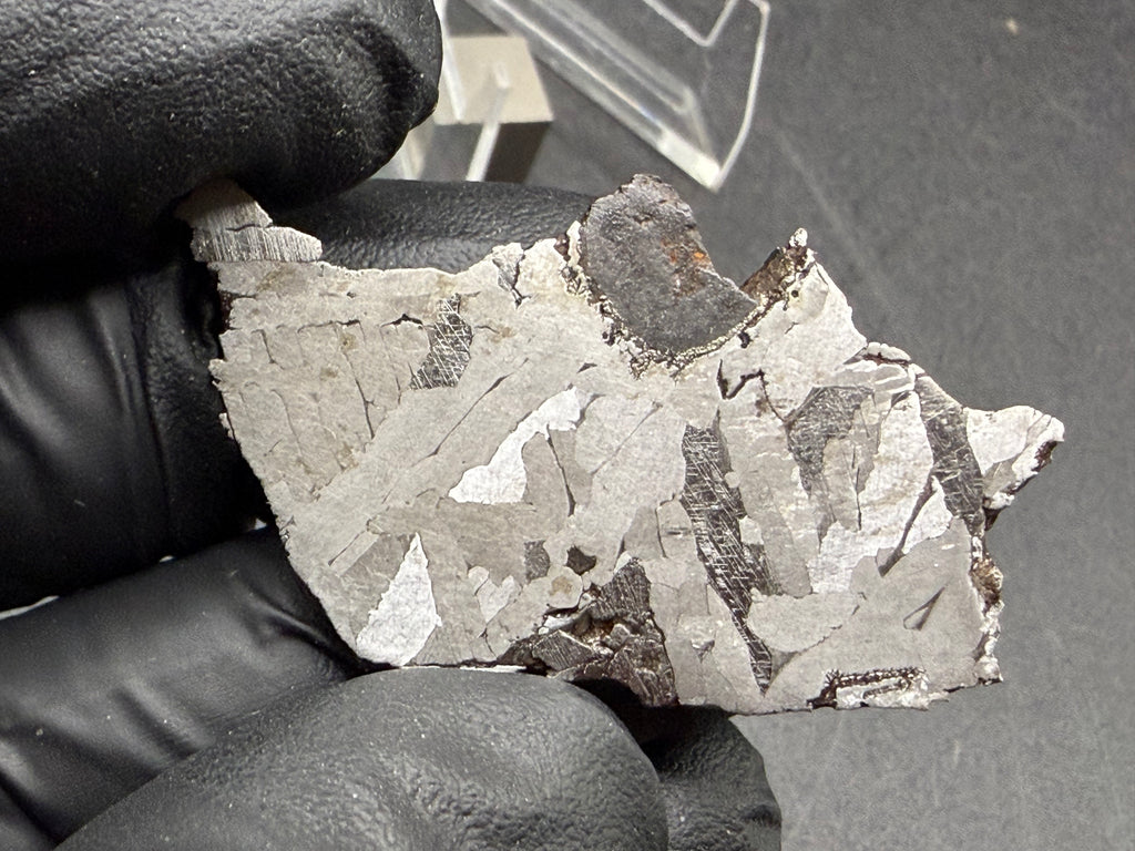 Kaalijarv iron meteorite, IAB-MG, 12.83 g slice held in a gloved hand, etched face with crossing kamacite plates, darker zones with Neumann bands, and the dark nodule at the upper edge
