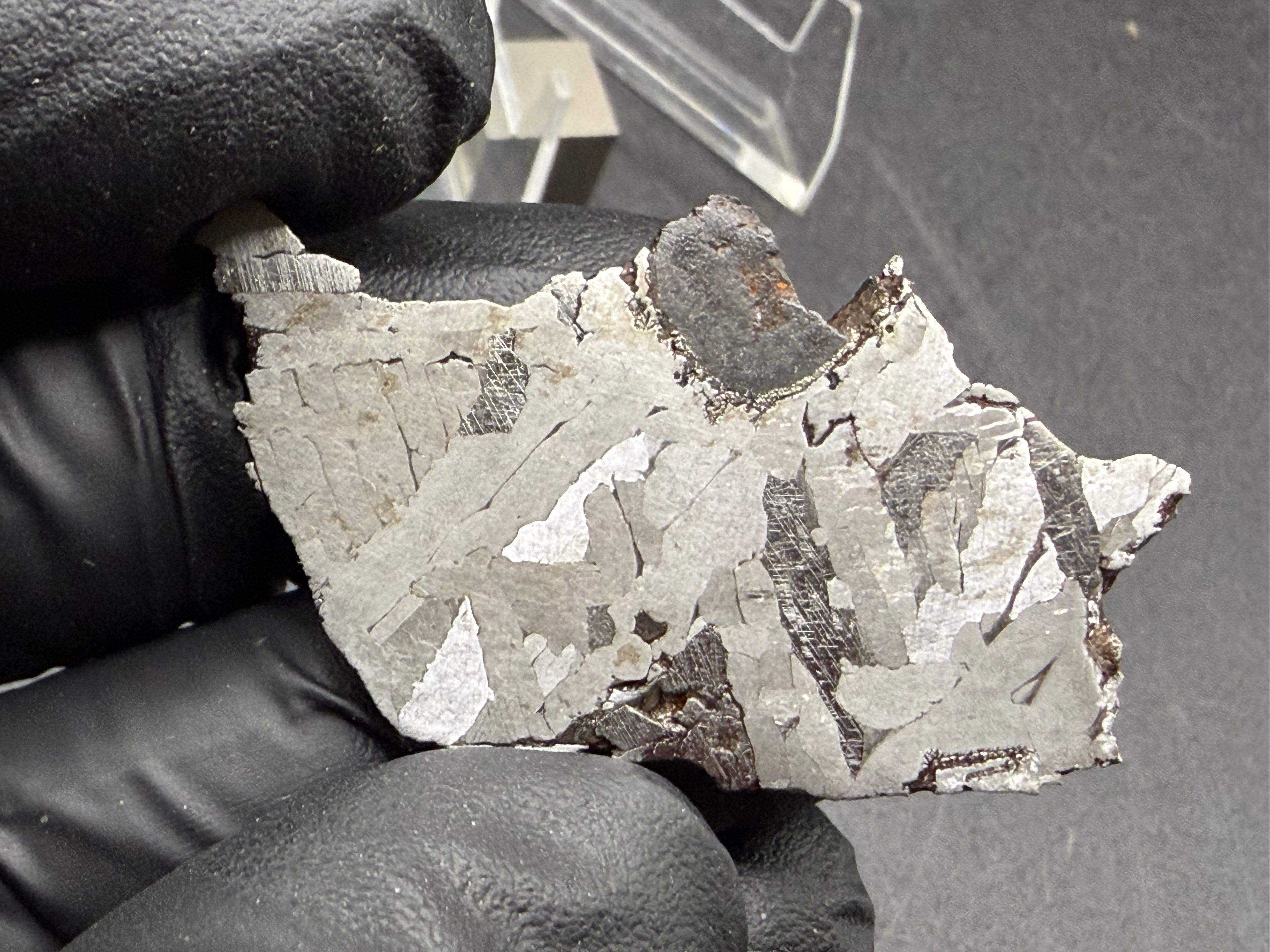 Kaalijarv iron meteorite, IAB-MG, 12.83 g slice held in a gloved hand, etched face with crossing kamacite plates, darker zones with Neumann bands, and the dark nodule at the upper edge