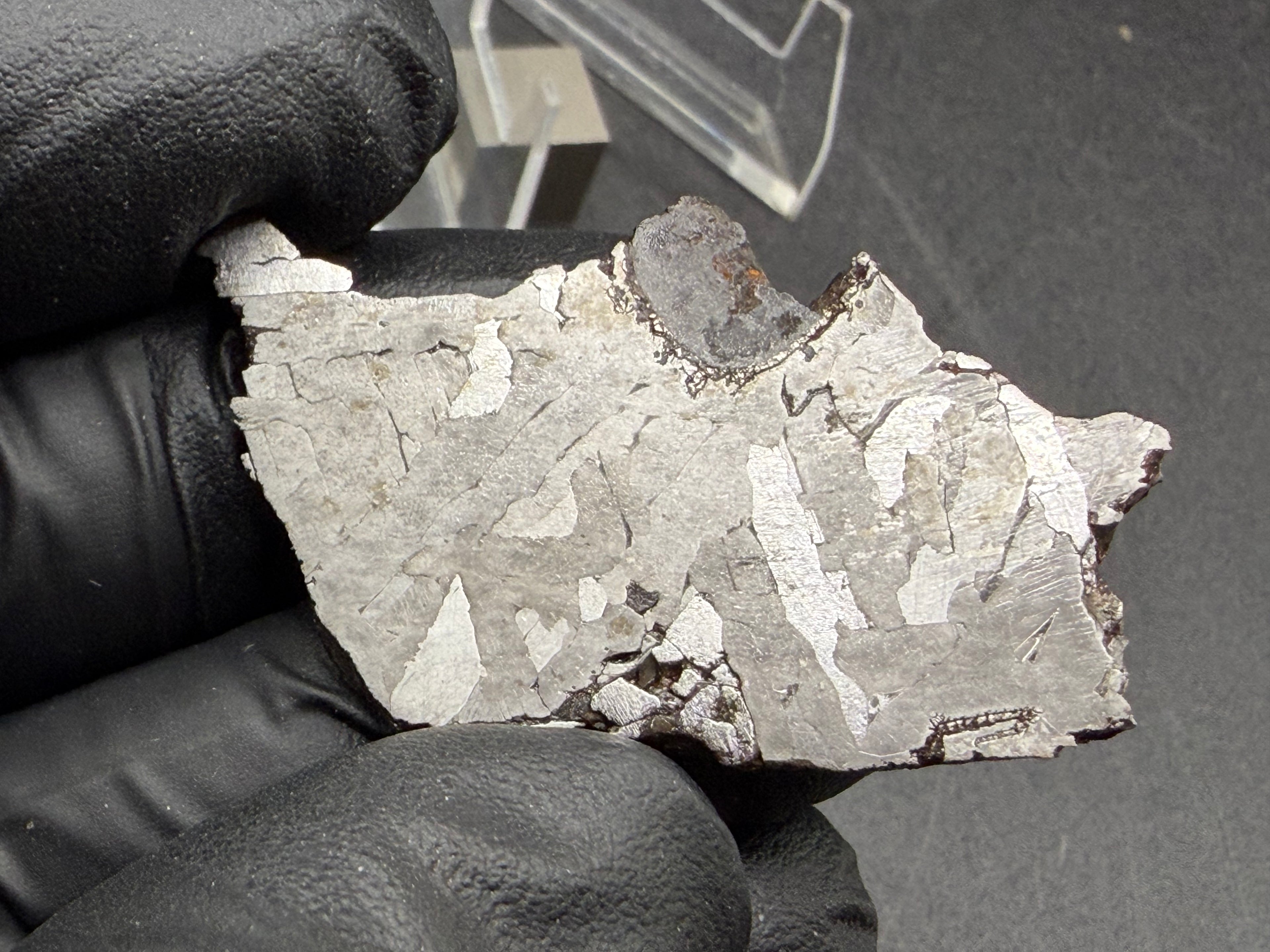 Kaalijarv iron meteorite, IAB-MG, 12.83 g slice held in a gloved hand, etched face under bright light with crossing kamacite plates and the dark nodule at the upper edge