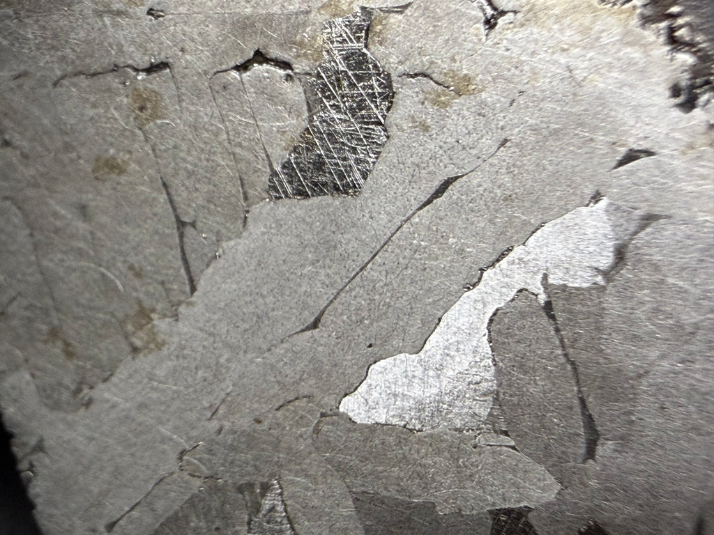 Kaalijarv iron meteorite, IAB-MG, 12.83 g slice, close-up of the etched face showing kamacite plates with a darker area crossed by Neumann bands