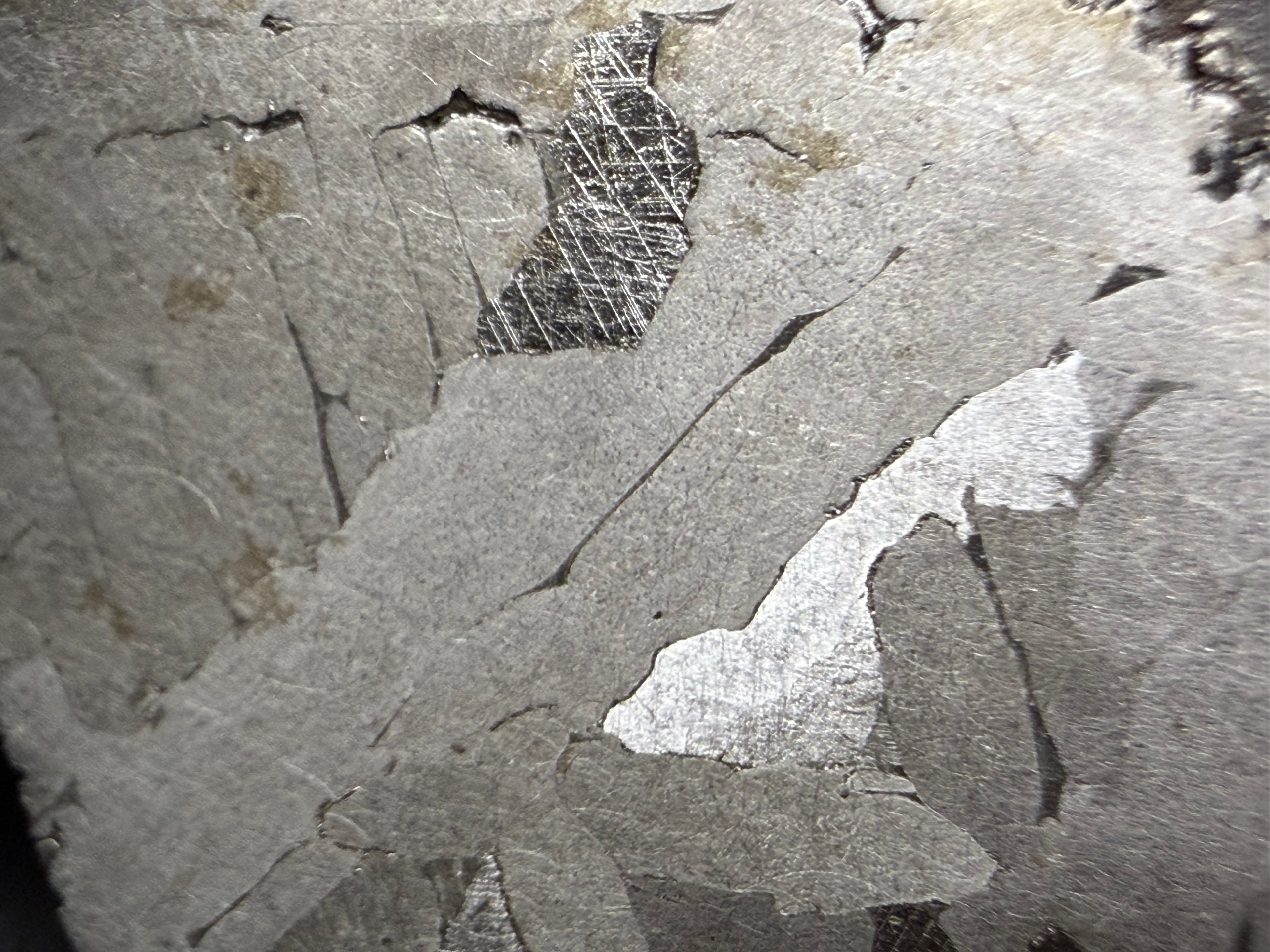 Kaalijarv iron meteorite, IAB-MG, 12.83 g slice, close-up of the etched face showing kamacite plates with a darker area crossed by Neumann bands