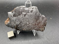 Kaalijarv iron meteorite, IAB-MG, 127.37 g end cut standing upright, full view of the etched cut face with brown weathered exterior along the left edge