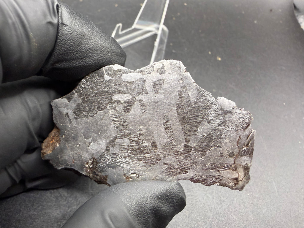 Kaalijarv iron meteorite, IAB-MG, 127.37 g end cut held in a gloved hand, full view of the etched cut face with weathered exterior along the edges