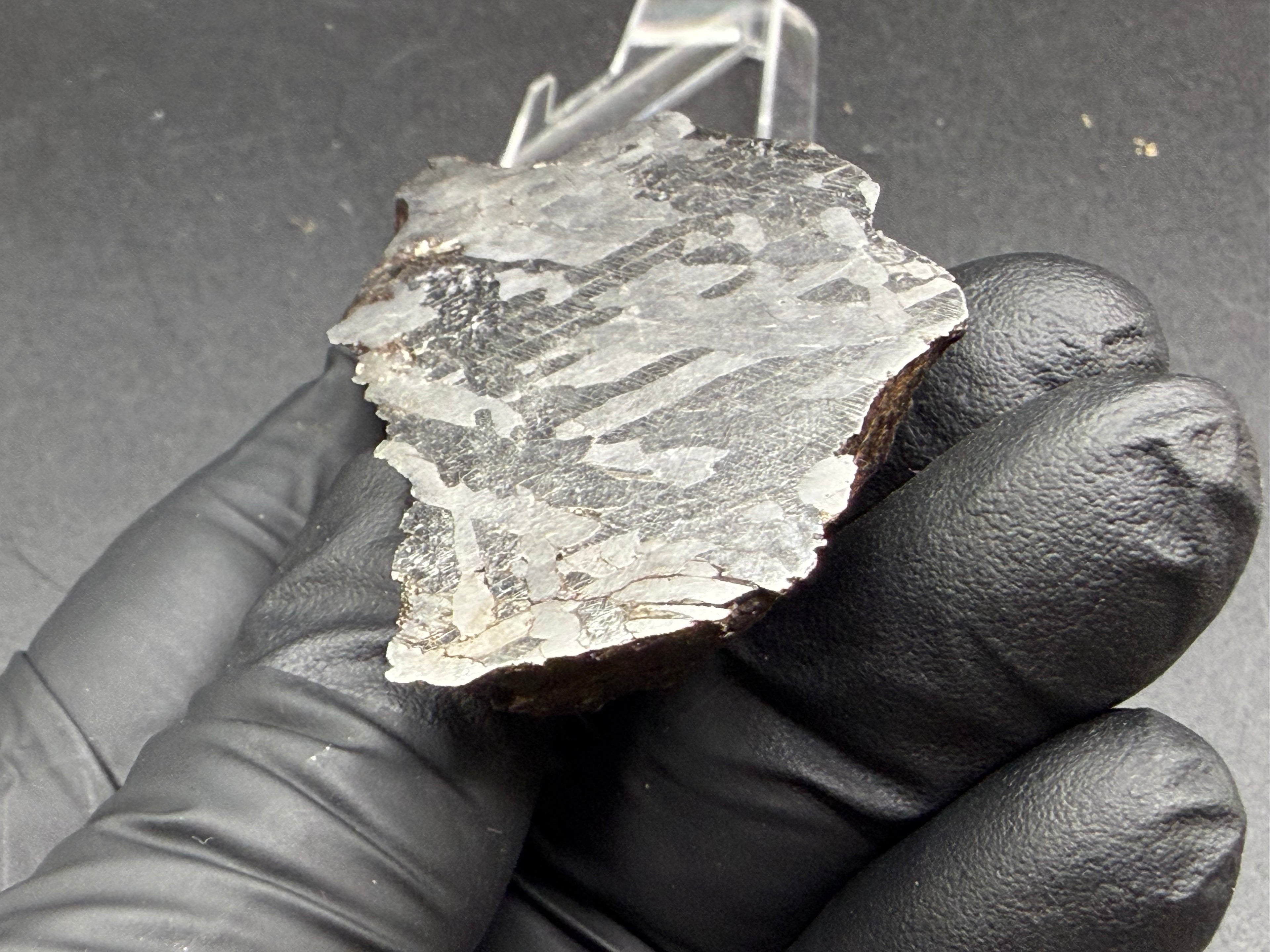 Kaalijarv iron meteorite, IAB-MG, 127.37 g end cut held in a gloved hand, etched cut face lit at a low angle so the fine parallel Neumann bands show across the metal