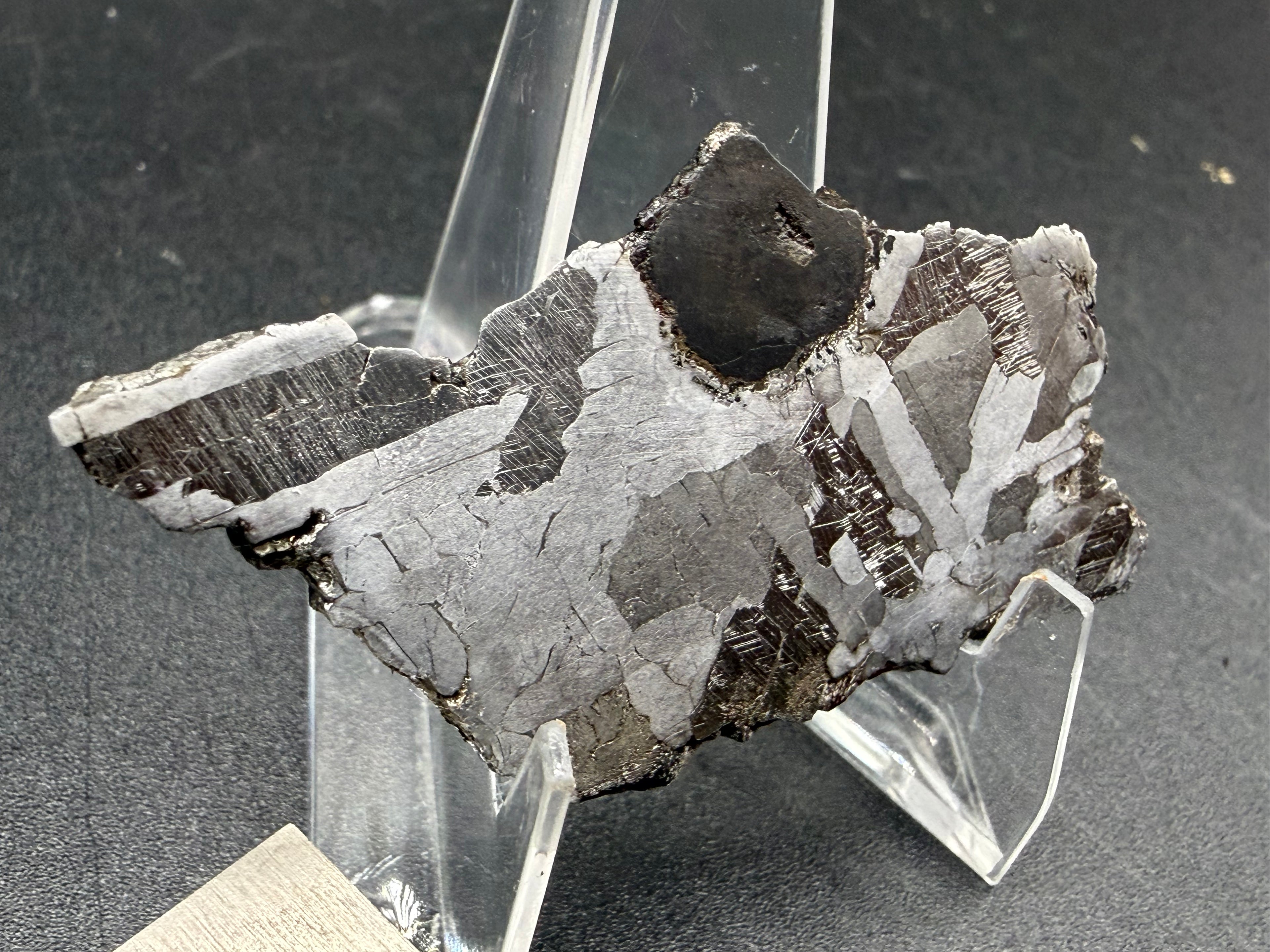 Kaalijarv iron meteorite, IAB-MG, 15.78 g etched slice standing upright, seen at an angle, with the rounded dark inclusion at the top edge