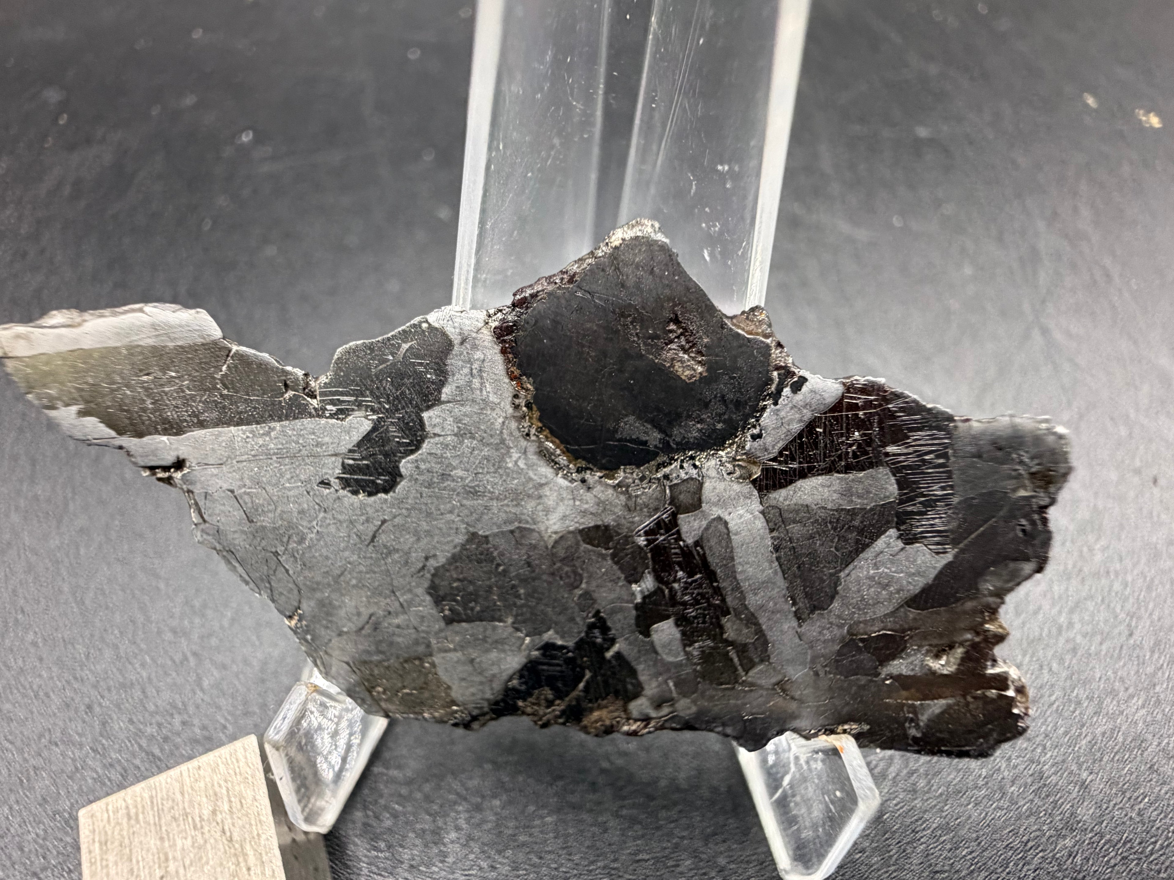 Kaalijarv iron meteorite, IAB-MG, 15.78 g etched slice standing upright in lower, softer light, with the rounded dark inclusion at the top edge