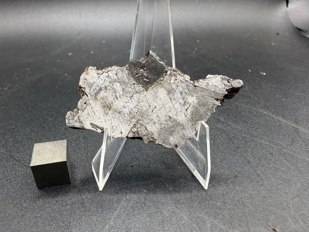 Kaalijarv iron meteorite, IAB-MG, 15.78 g slice standing upright, reverse face showing lighter metal with the dark inclusion visible at the top edge