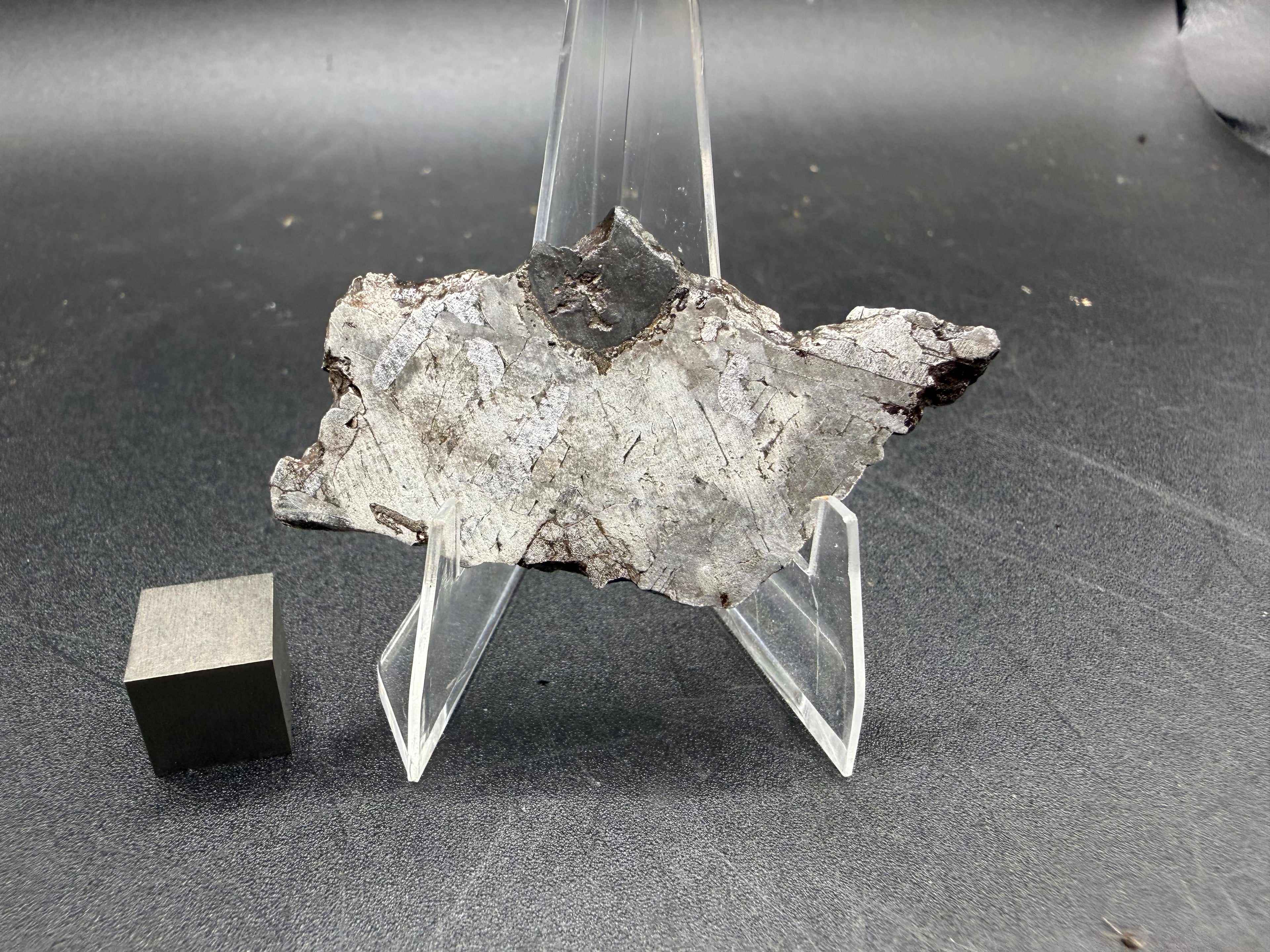 Kaalijarv iron meteorite, IAB-MG, 15.78 g slice standing upright, reverse face showing lighter metal with the dark inclusion visible at the top edge