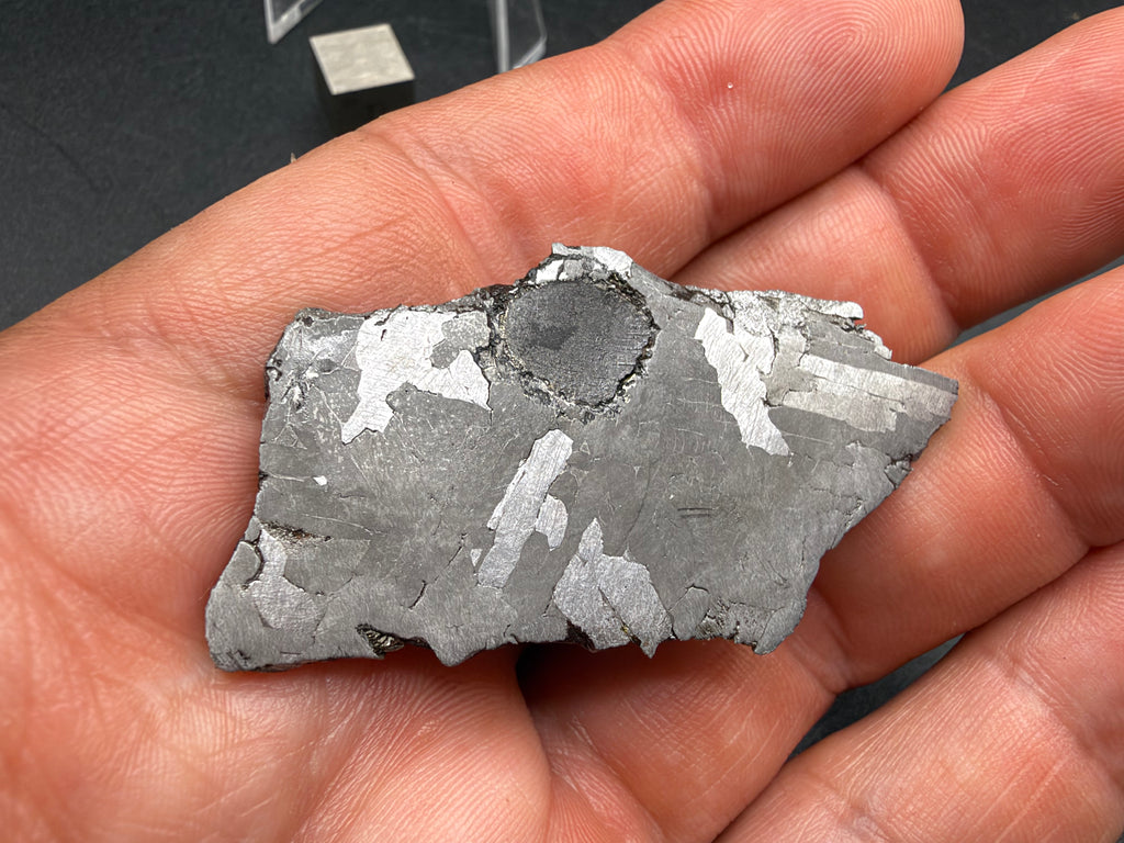Kaalijarv IAB-MG iron meteorite slice, 17.00 g, held in the hand for scale, front face showing the dark inclusion