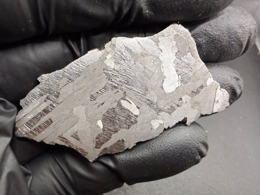 Kaalijarv iron meteorite, IAB-MG, 21.00 g slice held in a black gloved hand, etched face showing crossing Widmanstatten plates, with fine Neumann bands across the darker plates