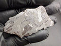 Kaalijarv iron meteorite, IAB-MG, 21.00 g slice held in a black gloved hand, etched face showing crossing Widmanstatten plates, with fine Neumann bands across the darker plates