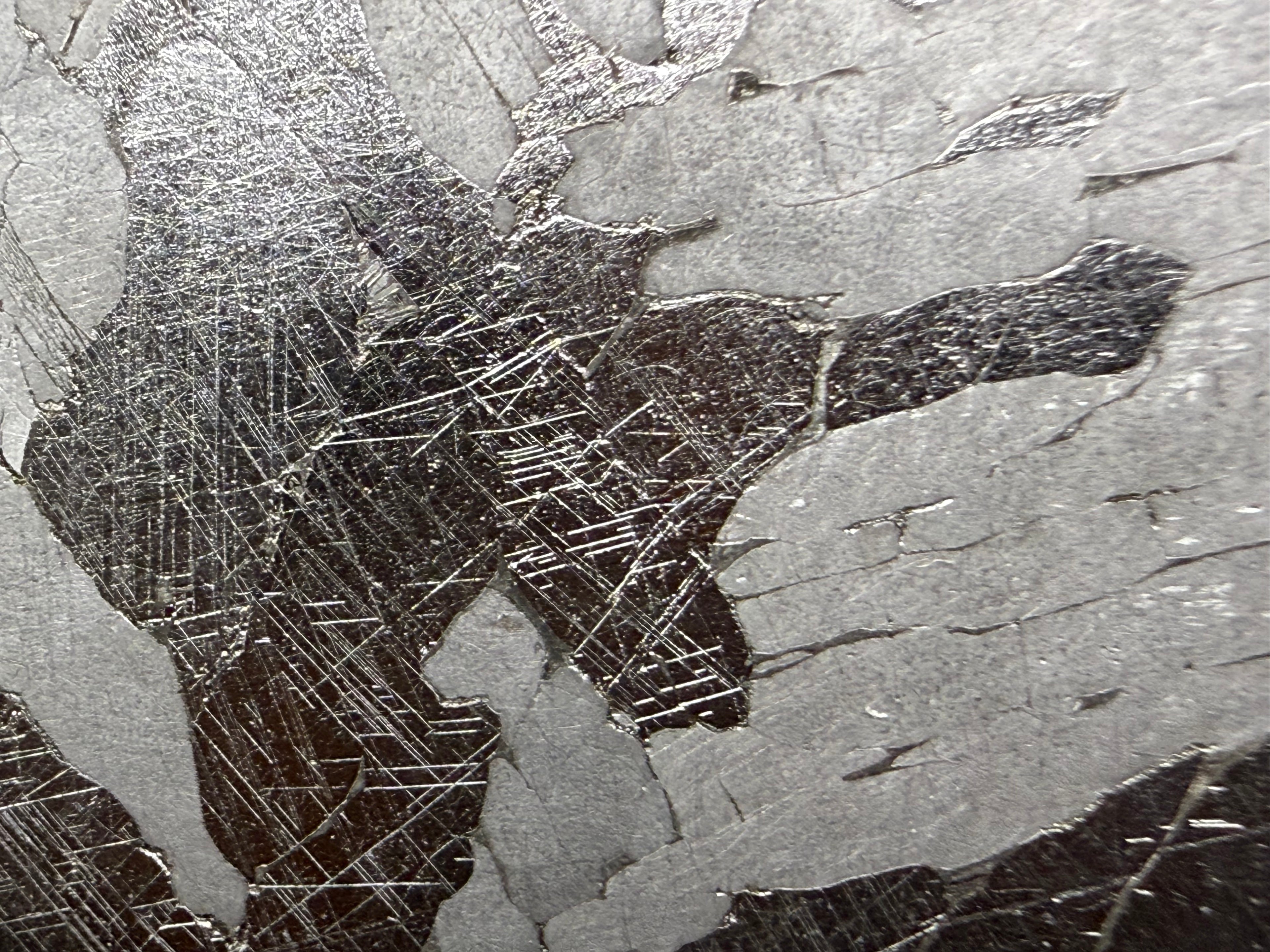 Kaalijarv iron meteorite, IAB-MG, 21.00 g slice, close-up of dark plates on the etched face crossed by intersecting sets of fine straight Neumann bands, framed by gray plates