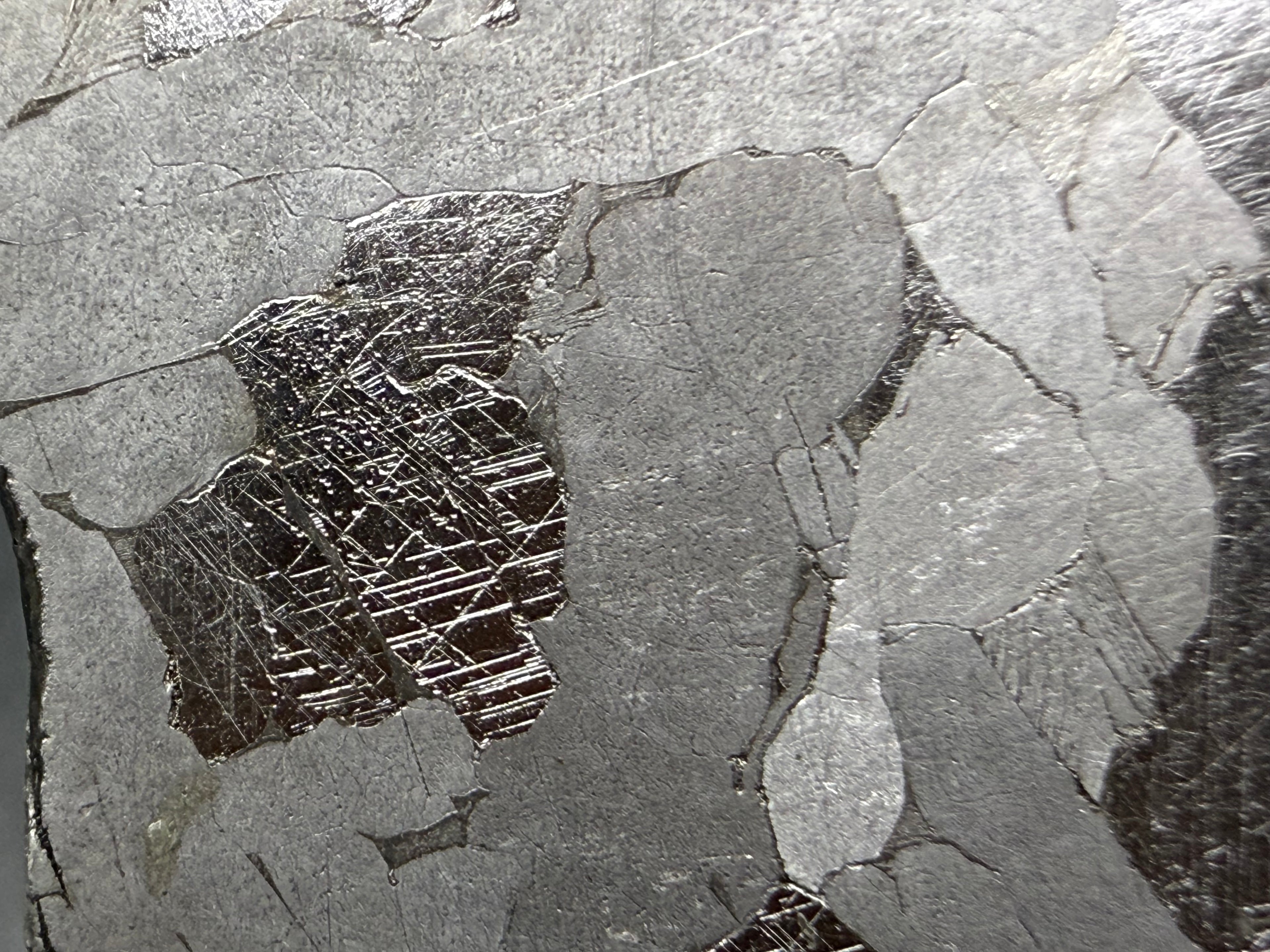 Kaalijarv iron meteorite, IAB-MG, 21.00 g slice, close-up of a dark plate on the etched face crossed by several intersecting sets of fine straight Neumann bands