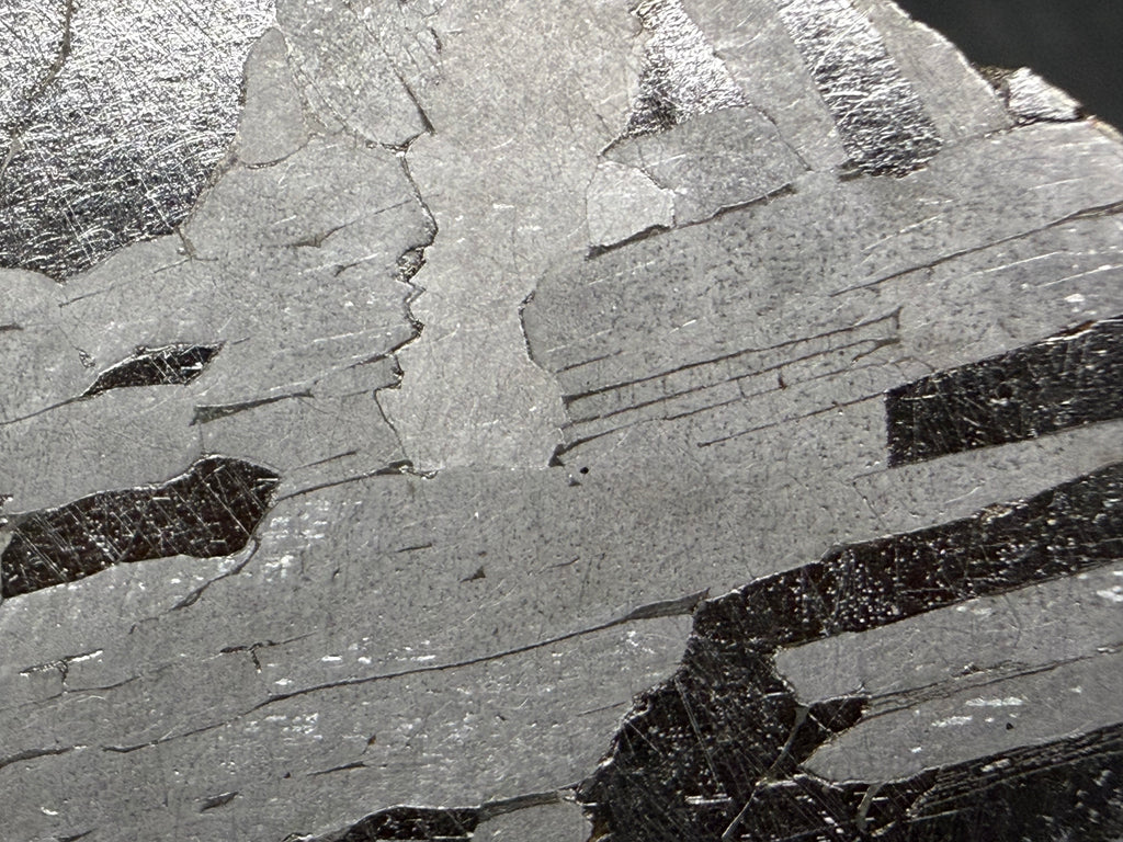 Kaalijarv iron meteorite, IAB-MG, 21.00 g slice, close-up of the etched face showing long gray plates running side by side, with darker plates between them carrying fine Neumann bands