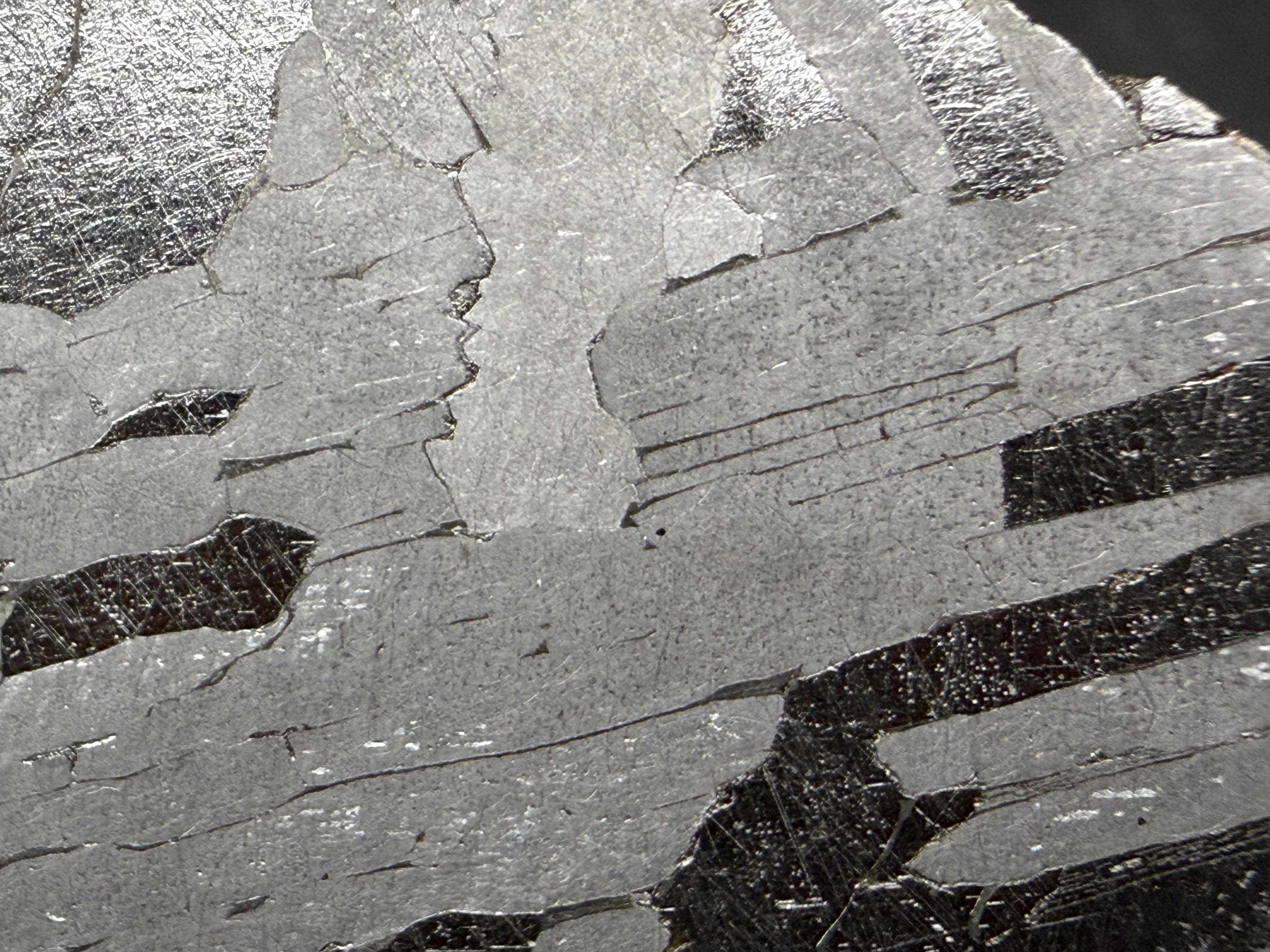 Kaalijarv iron meteorite, IAB-MG, 21.00 g slice, close-up of the etched face showing long gray plates running side by side, with darker plates between them carrying fine Neumann bands