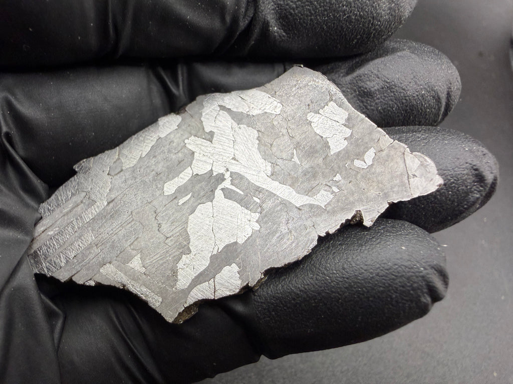 Kaalijarv iron meteorite, IAB-MG, 21.00 g slice held in a black gloved hand, etched face lit to show bright Widmanstatten plates against gray, with Neumann bands along the left edge