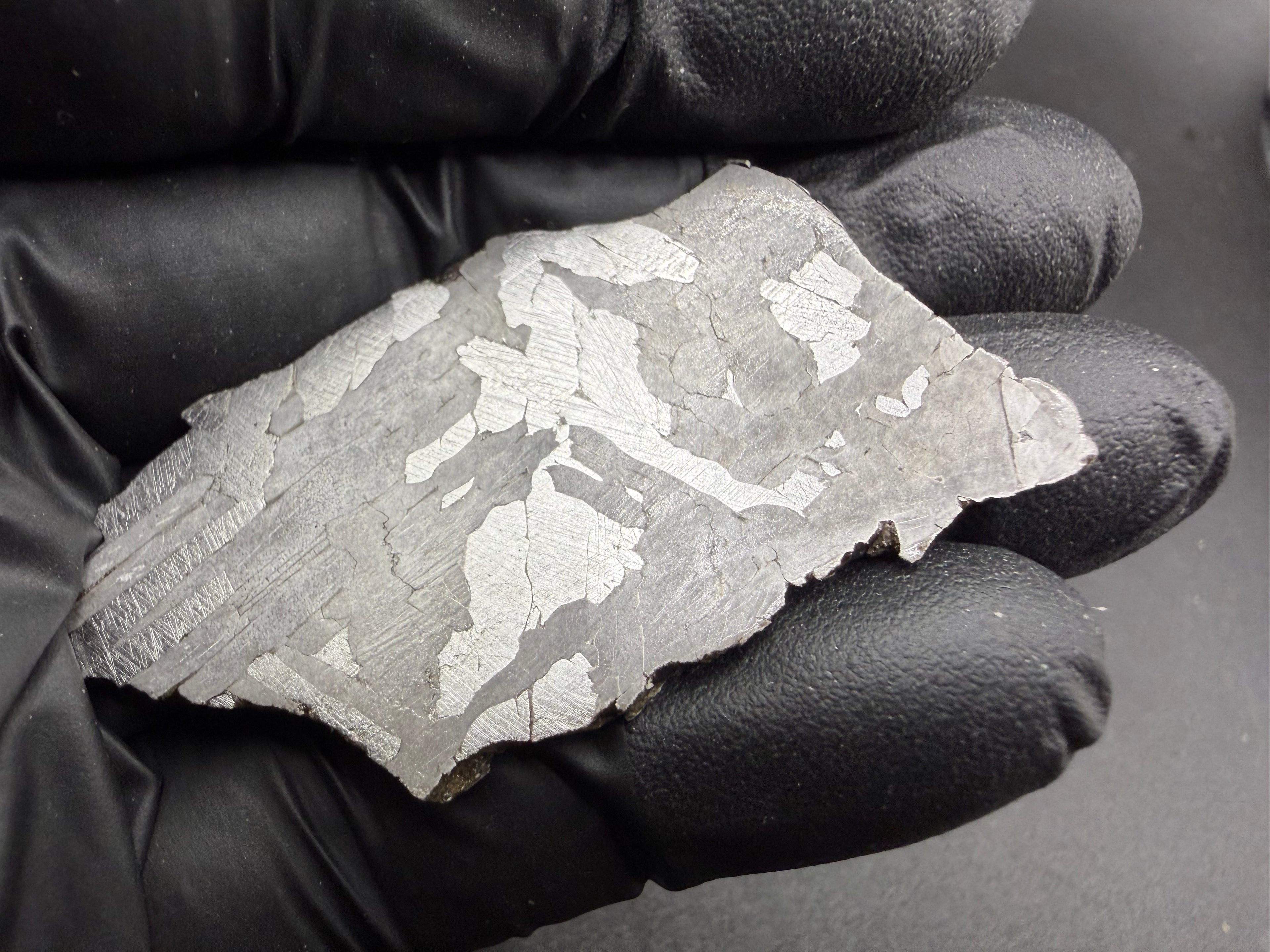 Kaalijarv iron meteorite, IAB-MG, 21.00 g slice held in a black gloved hand, etched face lit to show bright Widmanstatten plates against gray, with Neumann bands along the left edge