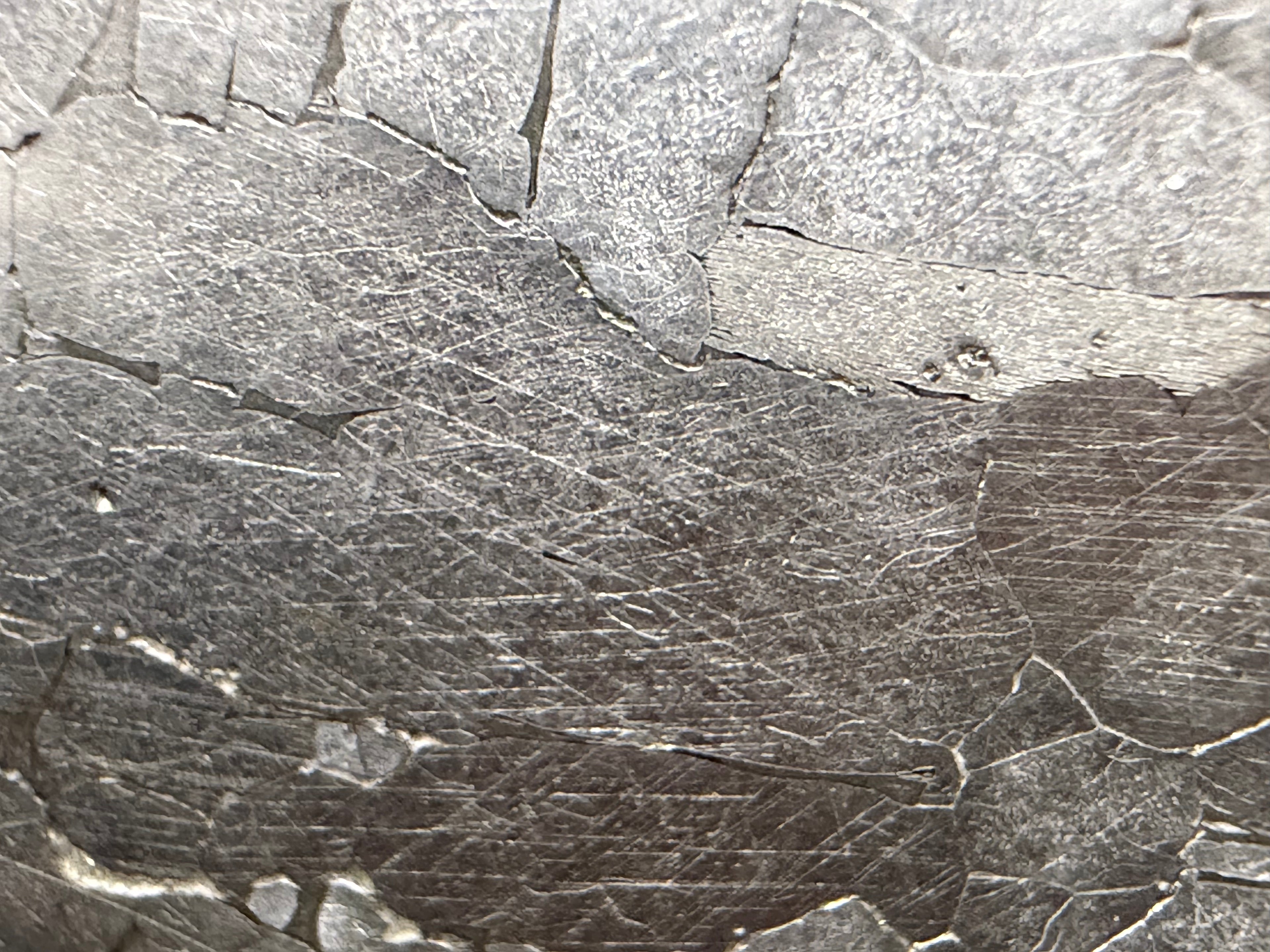 Kaalijarv iron meteorite, IAB-MG, 21.42 g slice, close-up of the etched face showing interlocking metal grains and grain boundaries of the Widmanstatten pattern