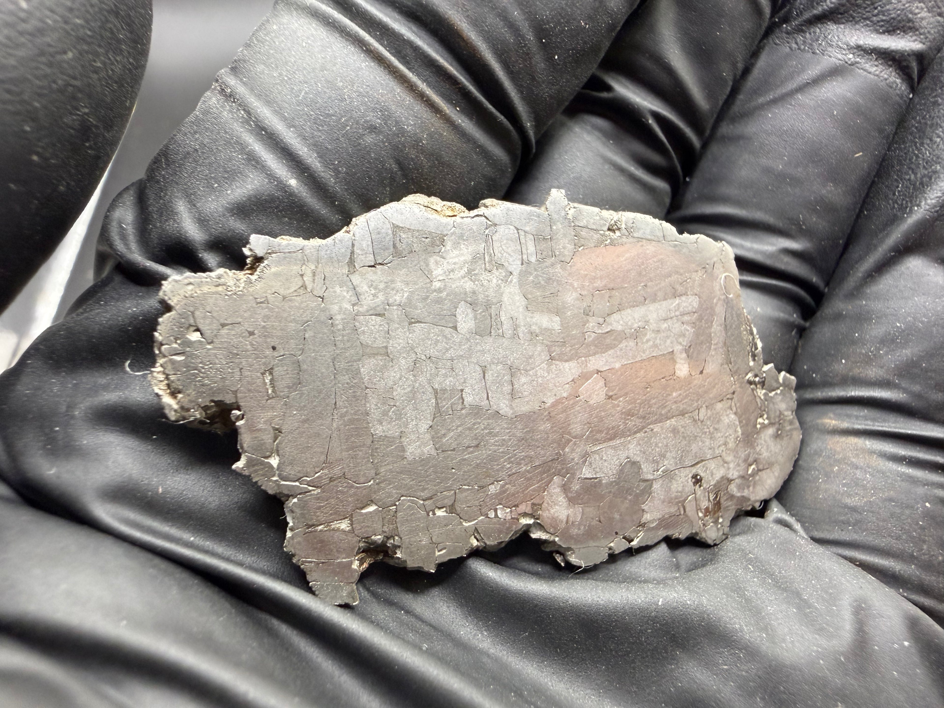 Kaalijarv iron meteorite, IAB-MG, 21.42 g slice held in a black gloved hand, etched face showing the Widmanstatten pattern