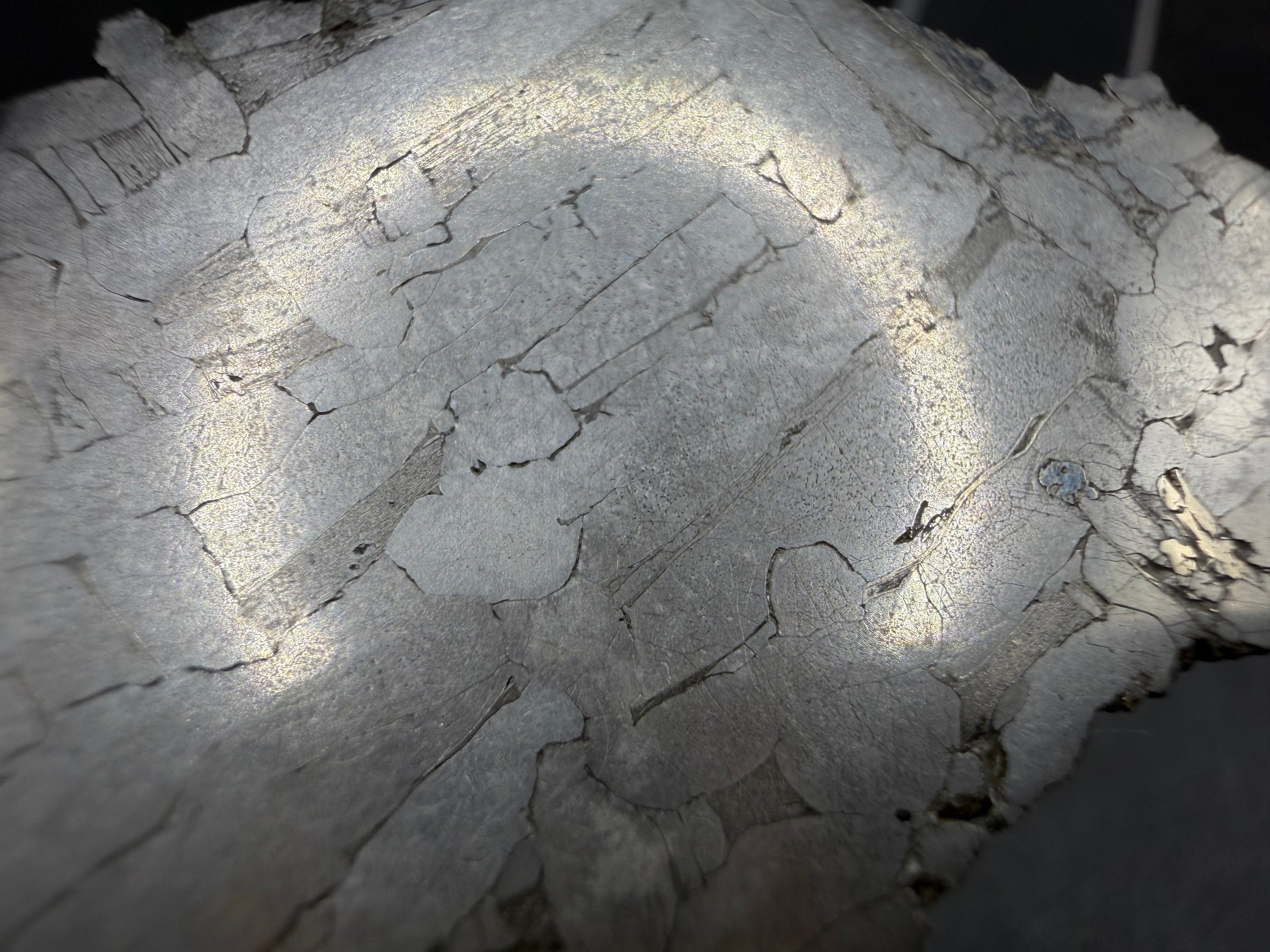 Kaalijarv iron meteorite, IAB-MG, 21.42 g slice, etched face lit at an angle, showing the bright and dark metal grains of the Widmanstatten pattern