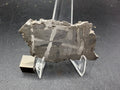 Kaalijarv iron meteorite, IAB-MG, 22.00 g slice standing upright, full etched face with bright kamacite plates crossing at angles over darker gray areas