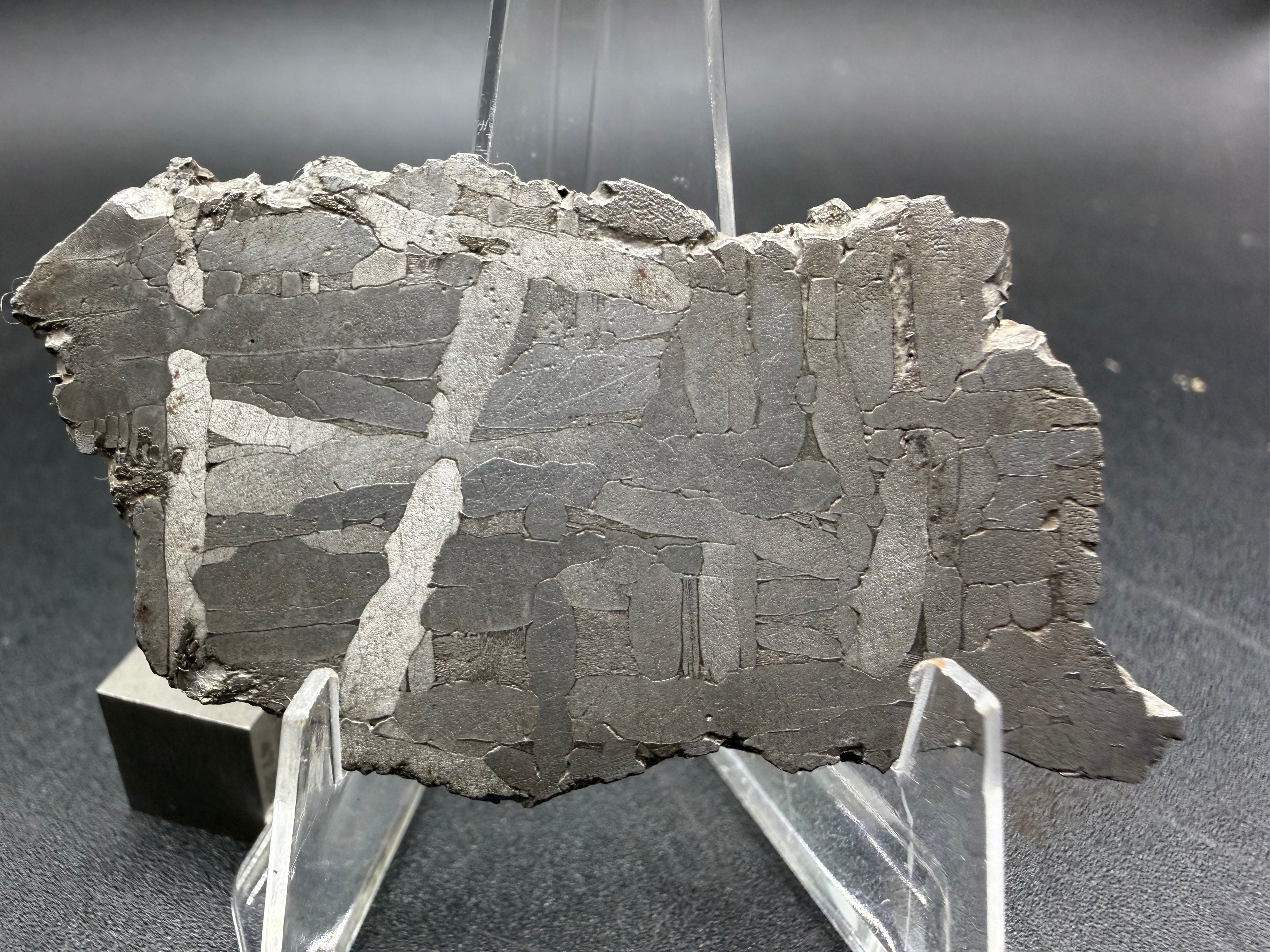 Kaalijarv iron meteorite, IAB-MG, 22.00 g slice standing upright, etched face under bright light with bright kamacite plates crossing a field of gray kamacite grains