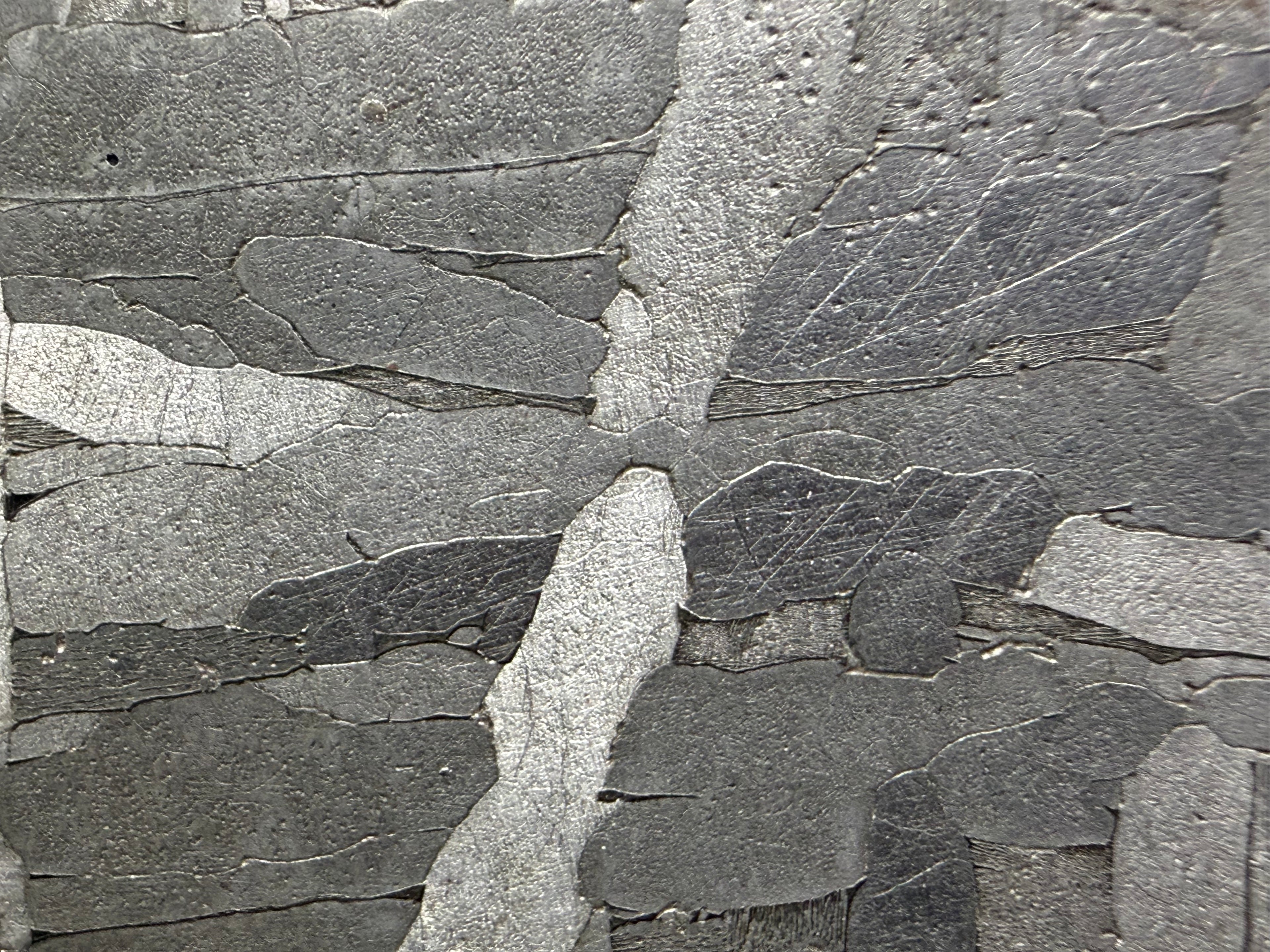 Kaalijarv iron meteorite, IAB-MG, 22.00 g slice, close-up of two bright kamacite plates crossing among gray kamacite grains