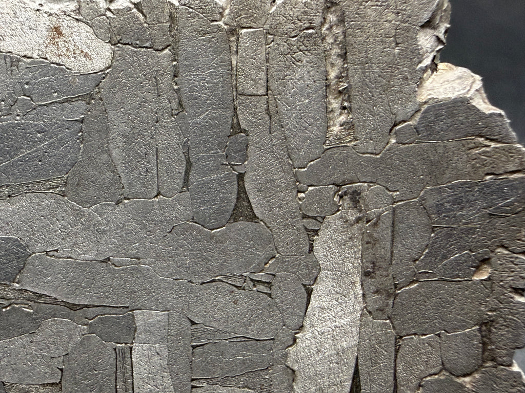 Kaalijarv iron meteorite, IAB-MG, 22.00 g slice, close-up near the edge of the etched face showing elongated kamacite plates with narrow dark zones between them