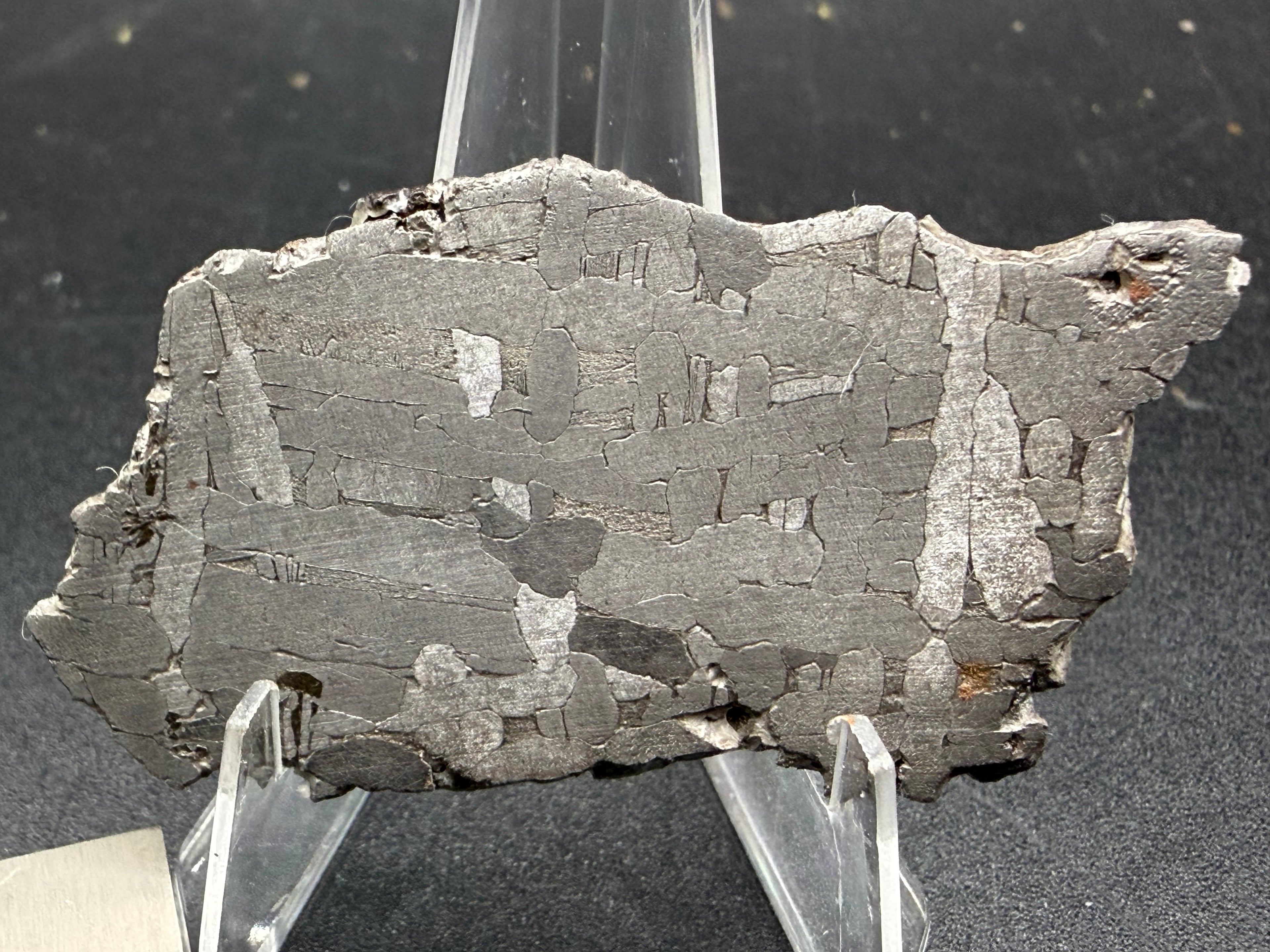 Kaalijarv iron meteorite, IAB-MG, 22.00 g slice standing upright, second etched face with crossing kamacite plates and a few bright plates against a gray background