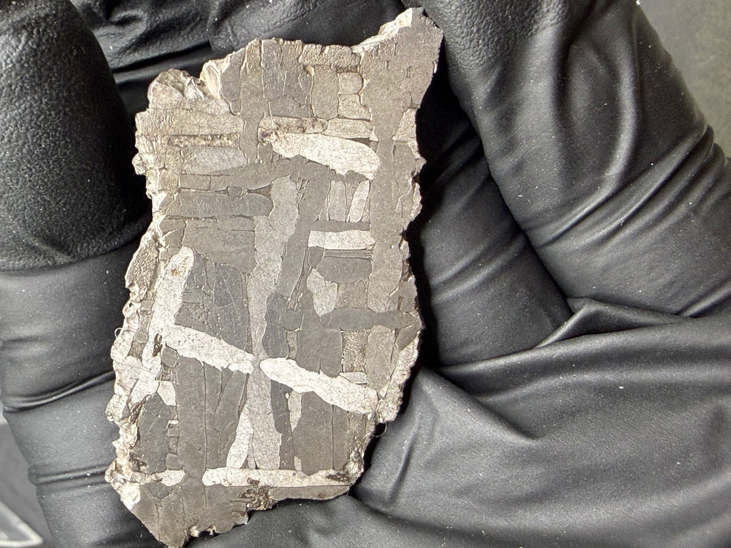 Kaalijarv iron meteorite, IAB-MG, 22.00 g slice held in a gloved hand, etched face with bright kamacite plates crossing at angles over darker gray areas