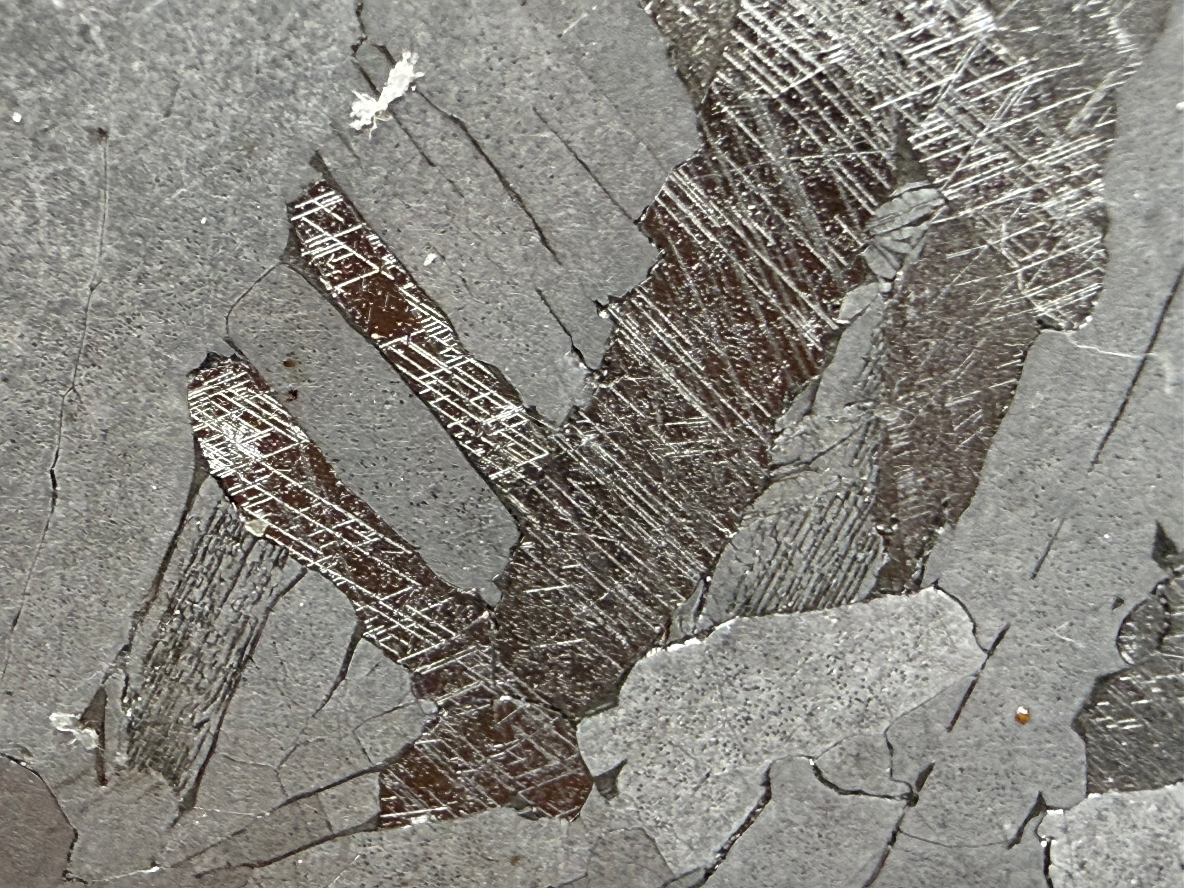 Kaalijarv iron meteorite, IAB-MG, 27.00 g slice, close-up of dark plates crossed by fine Neumann bands between smooth gray plates