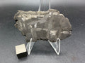 Kaalijarv iron meteorite, IAB-MG, 28.43 g slice standing upright, full etched face with gray kamacite plates crossing at angles and a few bright plates