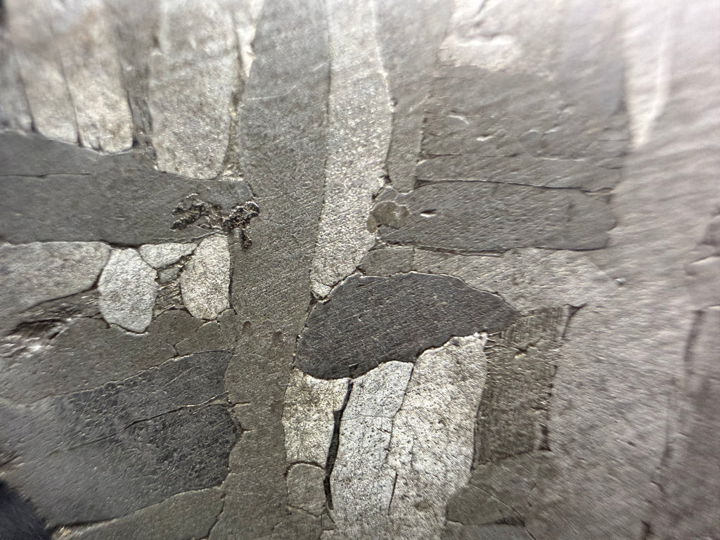 Kaalijarv iron meteorite, IAB-MG, 28.43 g slice, close-up of the etched face with crossing kamacite plates in light and dark gray and a small dark pocket at left