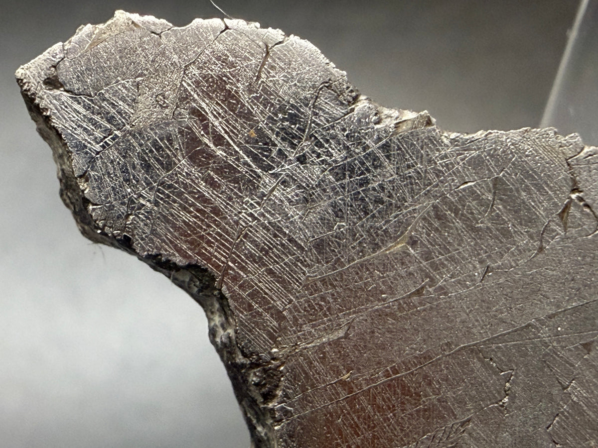 Kaalijarv iron meteorite, IAB-MG, 28.56 g slice, close-up near the upper edge of the etched face, densely crossed by intersecting sets of fine straight Neumann bands