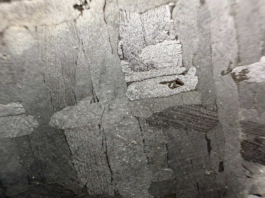 Kaalijarv iron meteorite, IAB-MG, 30.35 g slice, close-up of the etched face showing bright and gray plates, with fine straight Neumann bands crossing a darker plate
