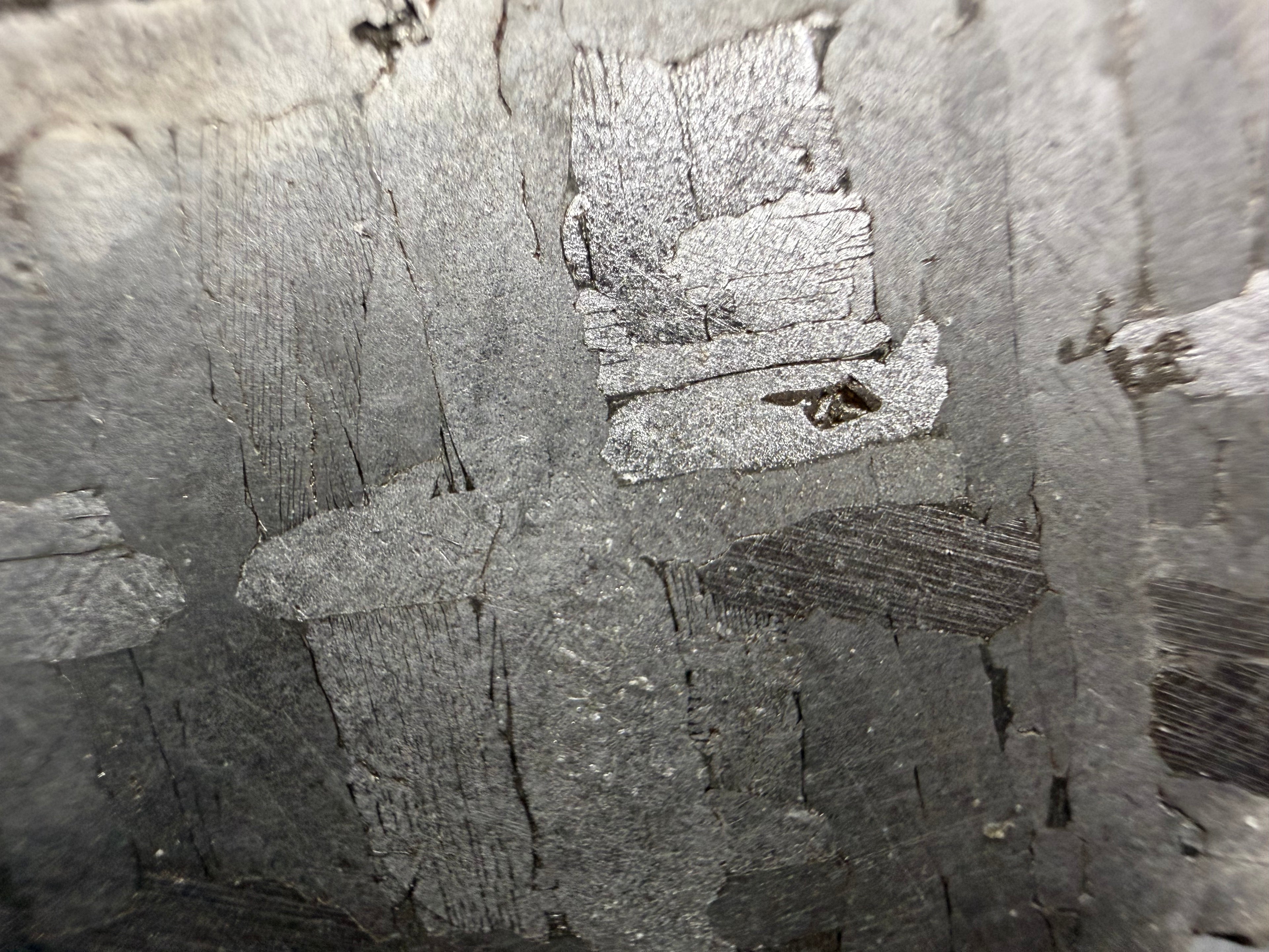 Kaalijarv iron meteorite, IAB-MG, 30.35 g slice, close-up of the etched face showing bright and gray plates, with fine straight Neumann bands crossing a darker plate