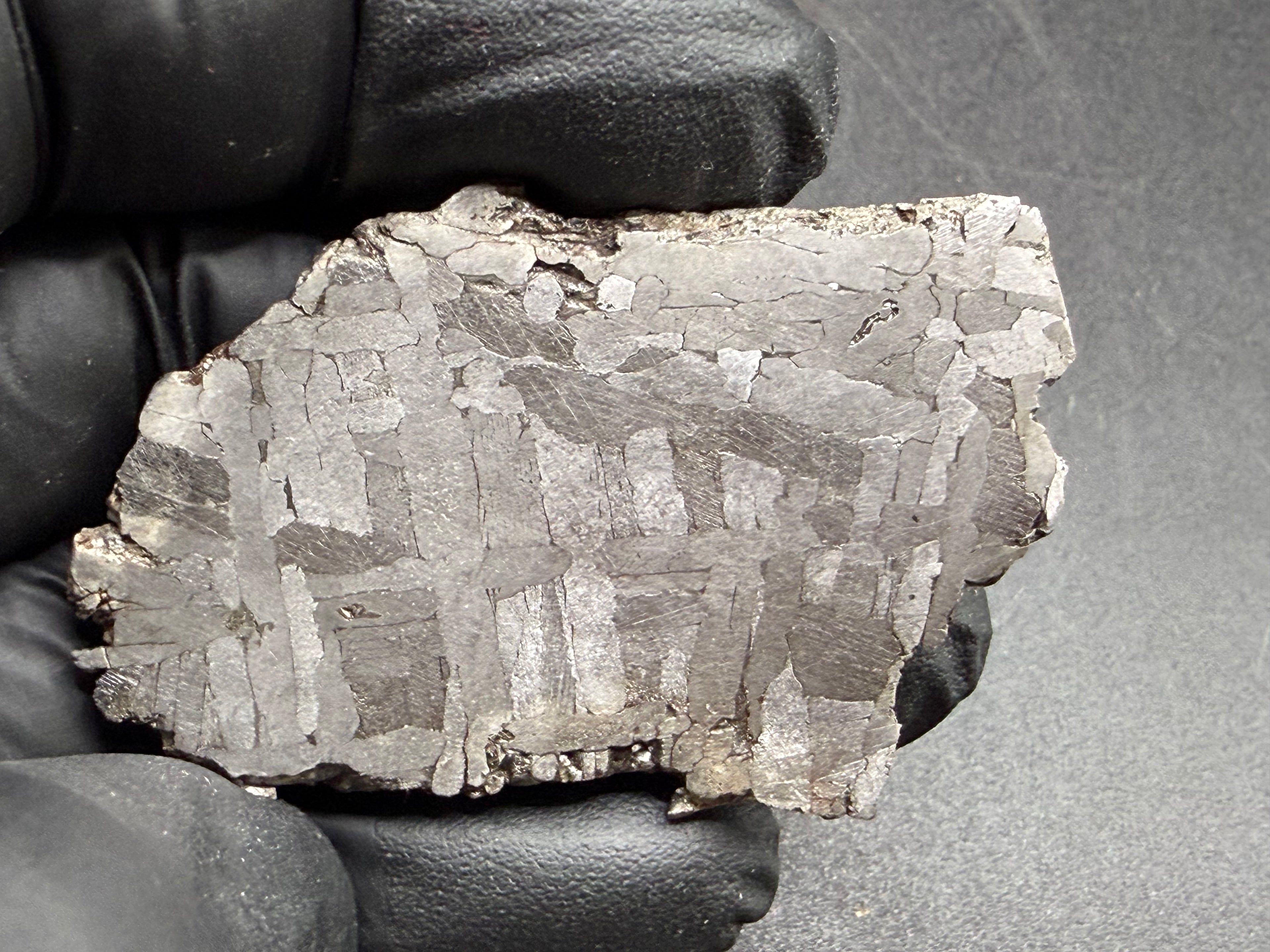 Kaalijarv iron meteorite, IAB-MG, 30.35 g slice held in a black gloved hand, reverse etched face showing crossing Widmanstatten plates with fine Neumann bands in the darker plates
