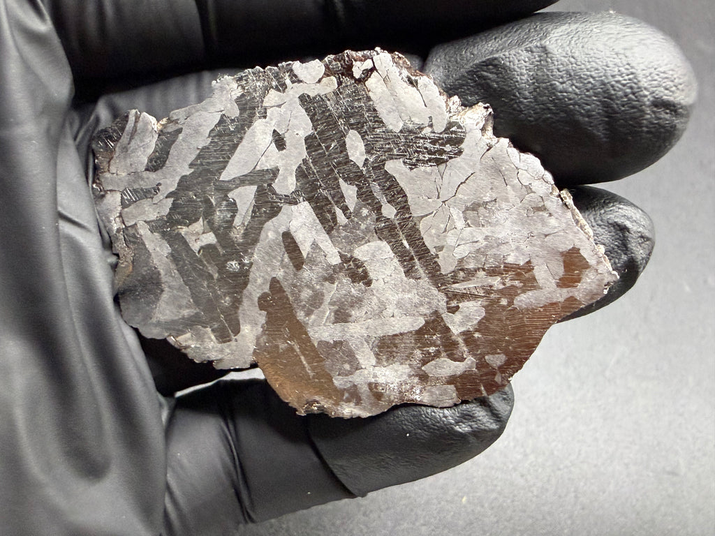 Kaalijarv iron meteorite, IAB-MG, 33.88 g slice held in a gloved hand, full etched face with interlocking lighter kamacite plates on a darker background