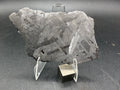 Kaalijarv iron meteorite, IAB-MG, 39.28 g slice standing upright, full etched face with crossing kamacite plates and broad zones of Neumann bands