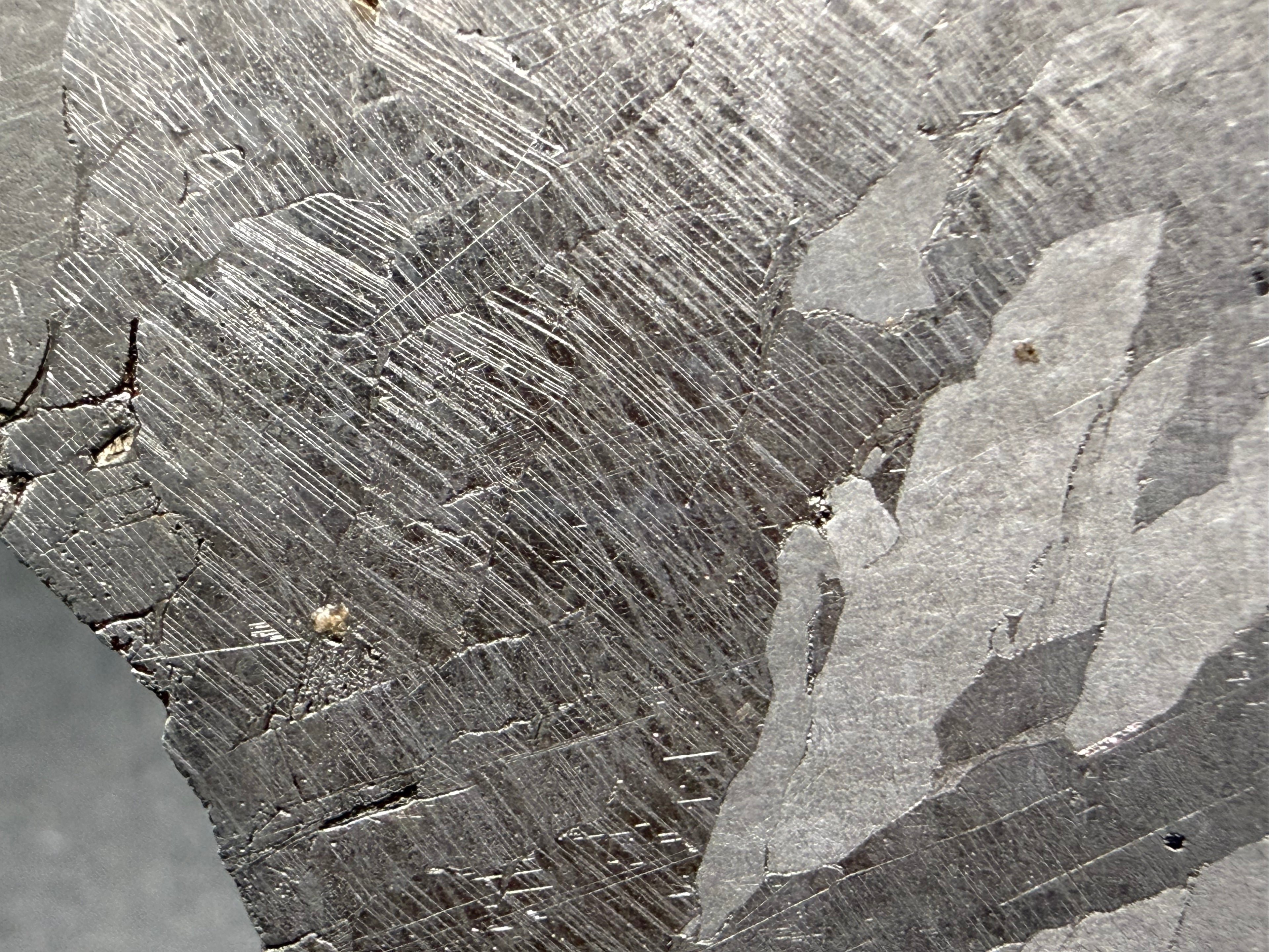 Kaalijarv iron meteorite, IAB-MG, 39.28 g slice, close-up of a broad zone densely crossed by intersecting Neumann bands beside lighter kamacite plates