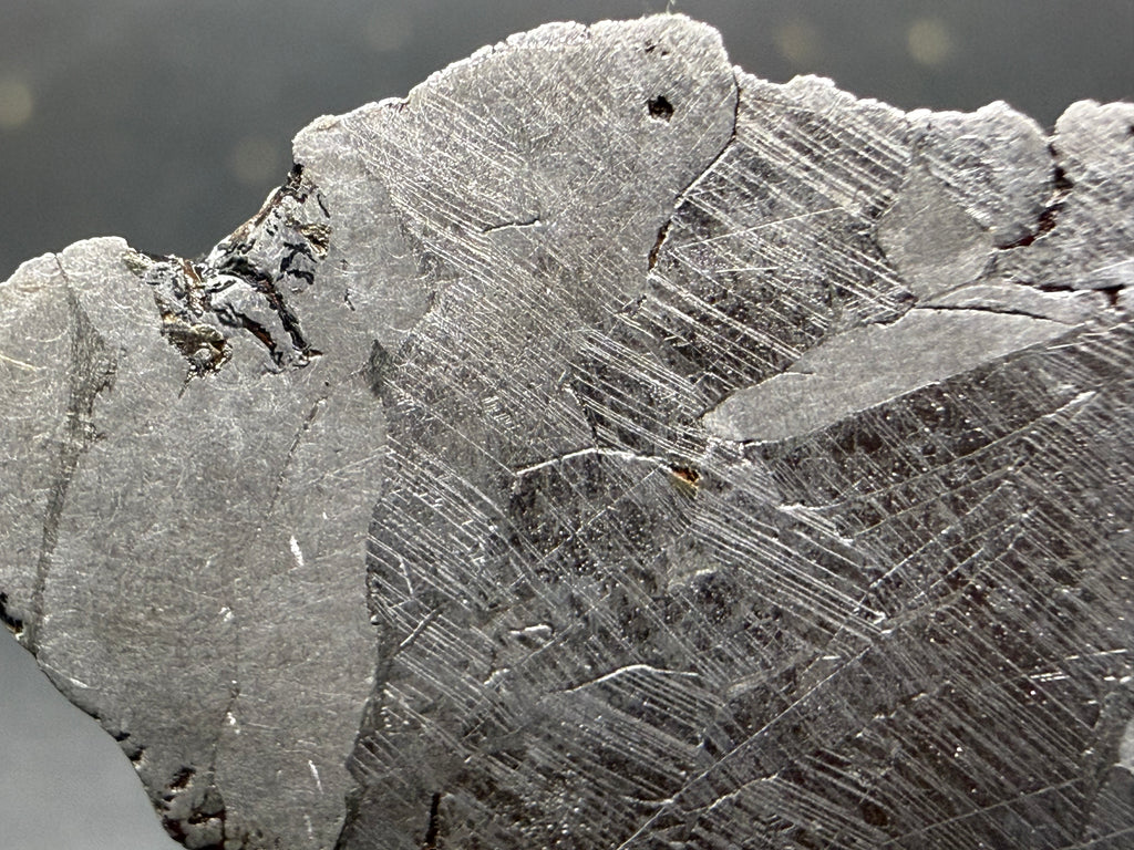 Kaalijarv iron meteorite, IAB-MG, 39.28 g slice, close-up near the edge showing intersecting Neumann bands across the etched metal and a small weathered pocket at the margin