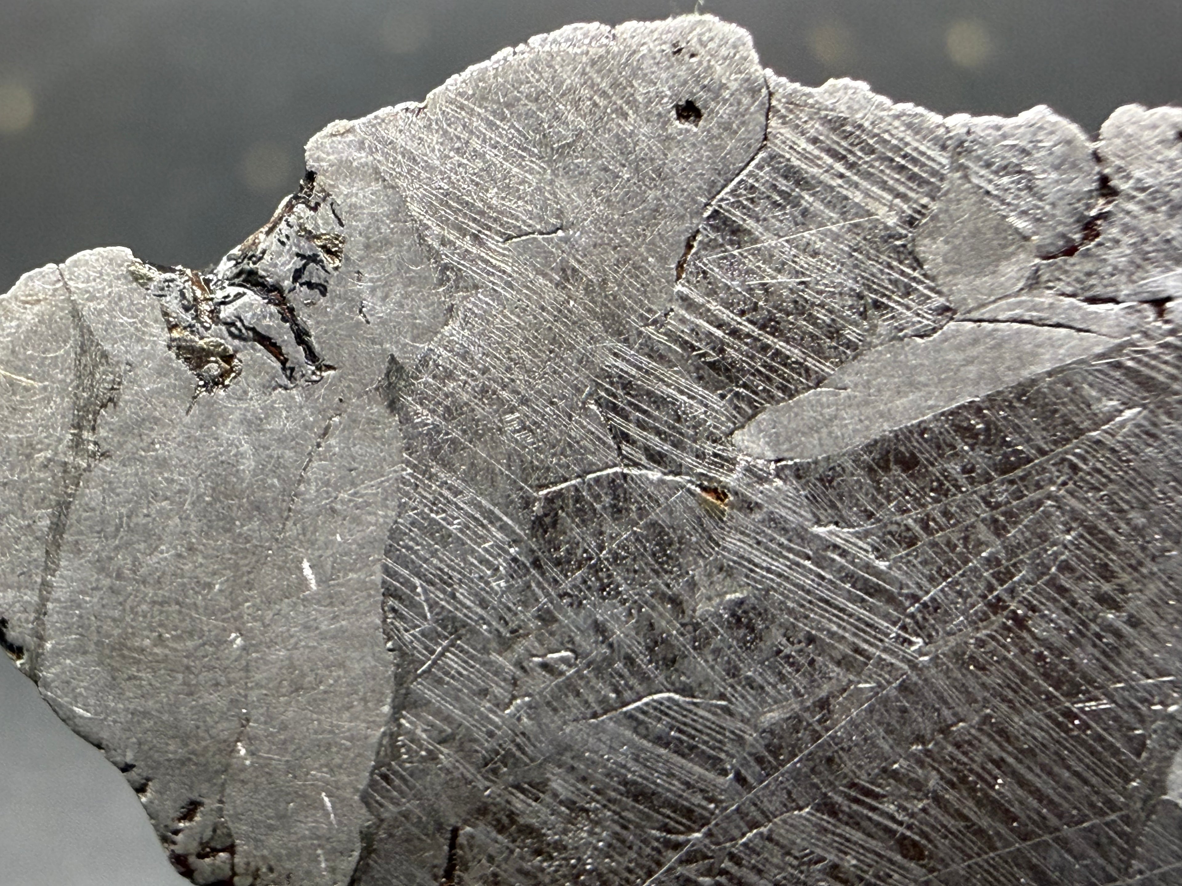 Kaalijarv iron meteorite, IAB-MG, 39.28 g slice, close-up near the edge showing intersecting Neumann bands across the etched metal and a small weathered pocket at the margin