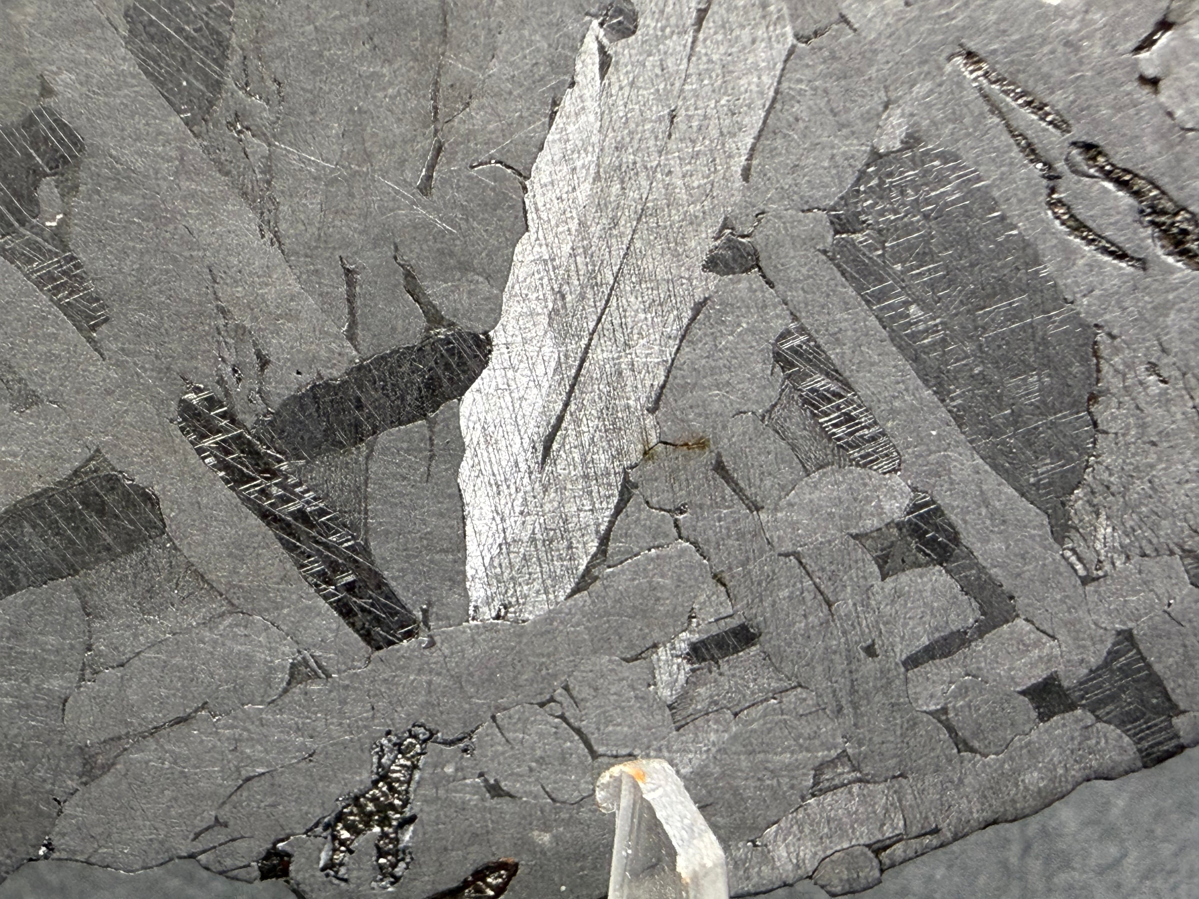 Kaalijarv iron meteorite, IAB-MG, 39.28 g slice, close-up of the etched face with crossing kamacite plates, a bright plate at center, and darker zones crossed by Neumann bands