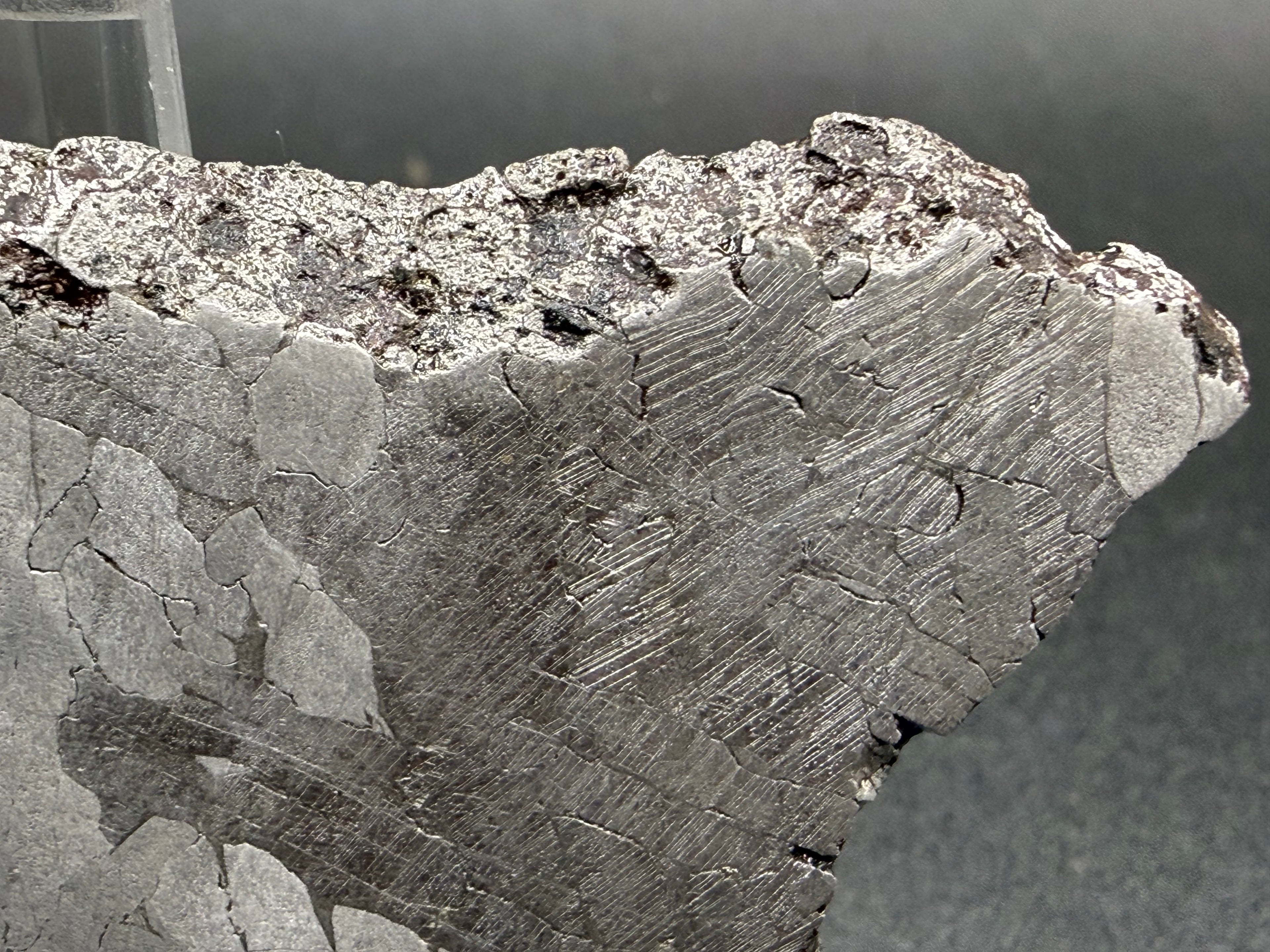 Kaalijarv iron meteorite, IAB-MG, 39.28 g slice, close-up of the weathered outer edge above a broad zone densely covered with fine Neumann bands
