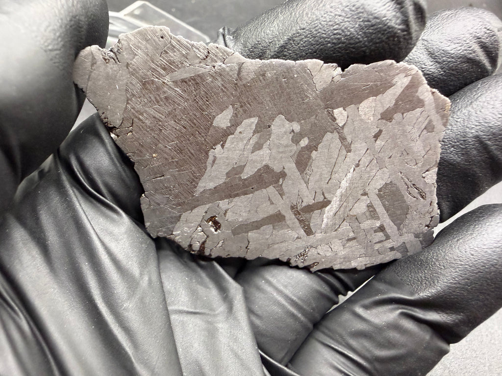Kaalijarv iron meteorite, IAB-MG, 39.28 g slice held in a gloved hand, etched face with lighter kamacite plates crossing at angles against a darker background