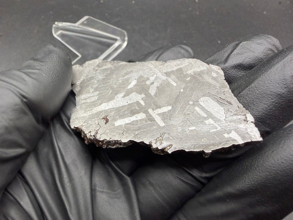 Kaalijarv iron meteorite, IAB-MG, 39.28 g slice held in a gloved hand, bright face showing crossing kamacite plates at angles