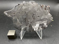 Kaalijarv iron meteorite, IAB-MG, 40.40 g slice standing upright, full view of the etched face with lighter crystal zones, darker zones crossed by Neumann bands, and weathered metal along the upper right edge