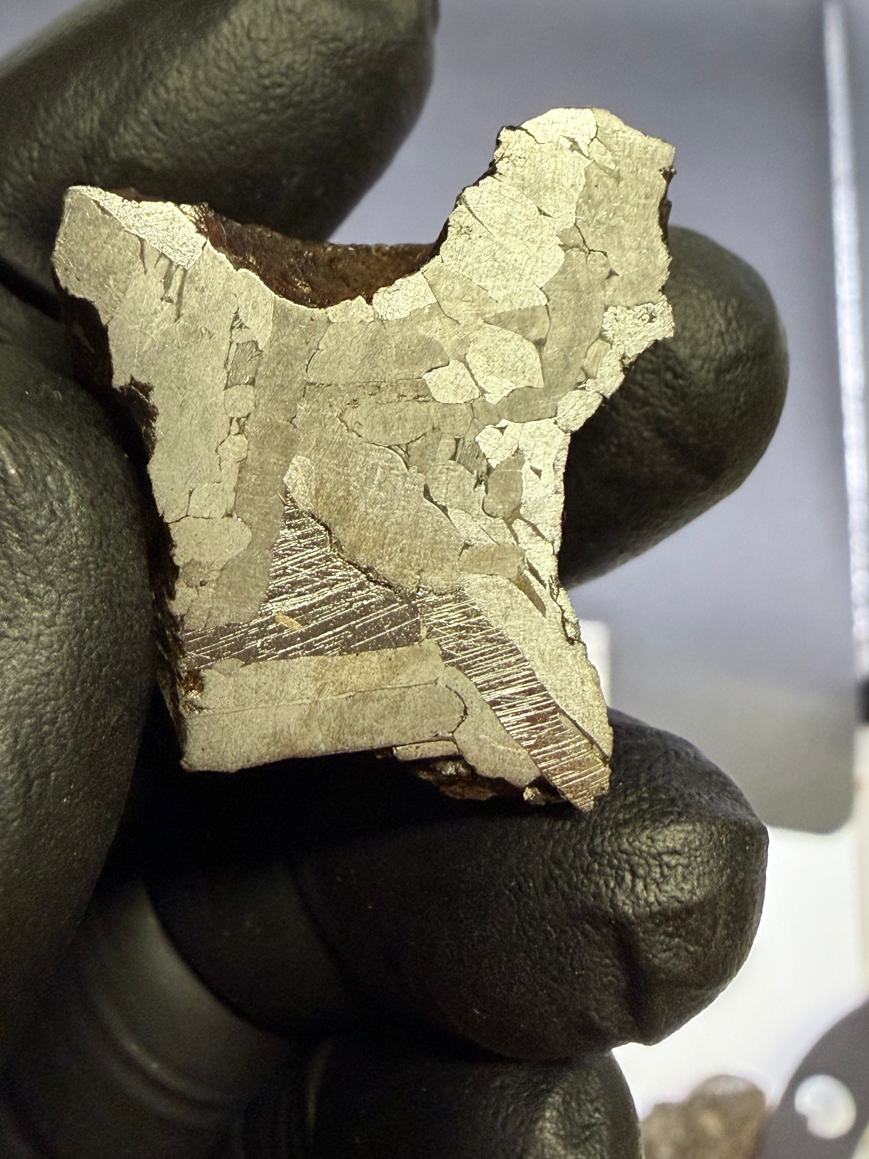 Kaalijarv iron meteorite, IAB-MG, 67.48 g end cut held upright in a gloved hand, full view of the etched cut face with a darker zone of Neumann bands near the base
