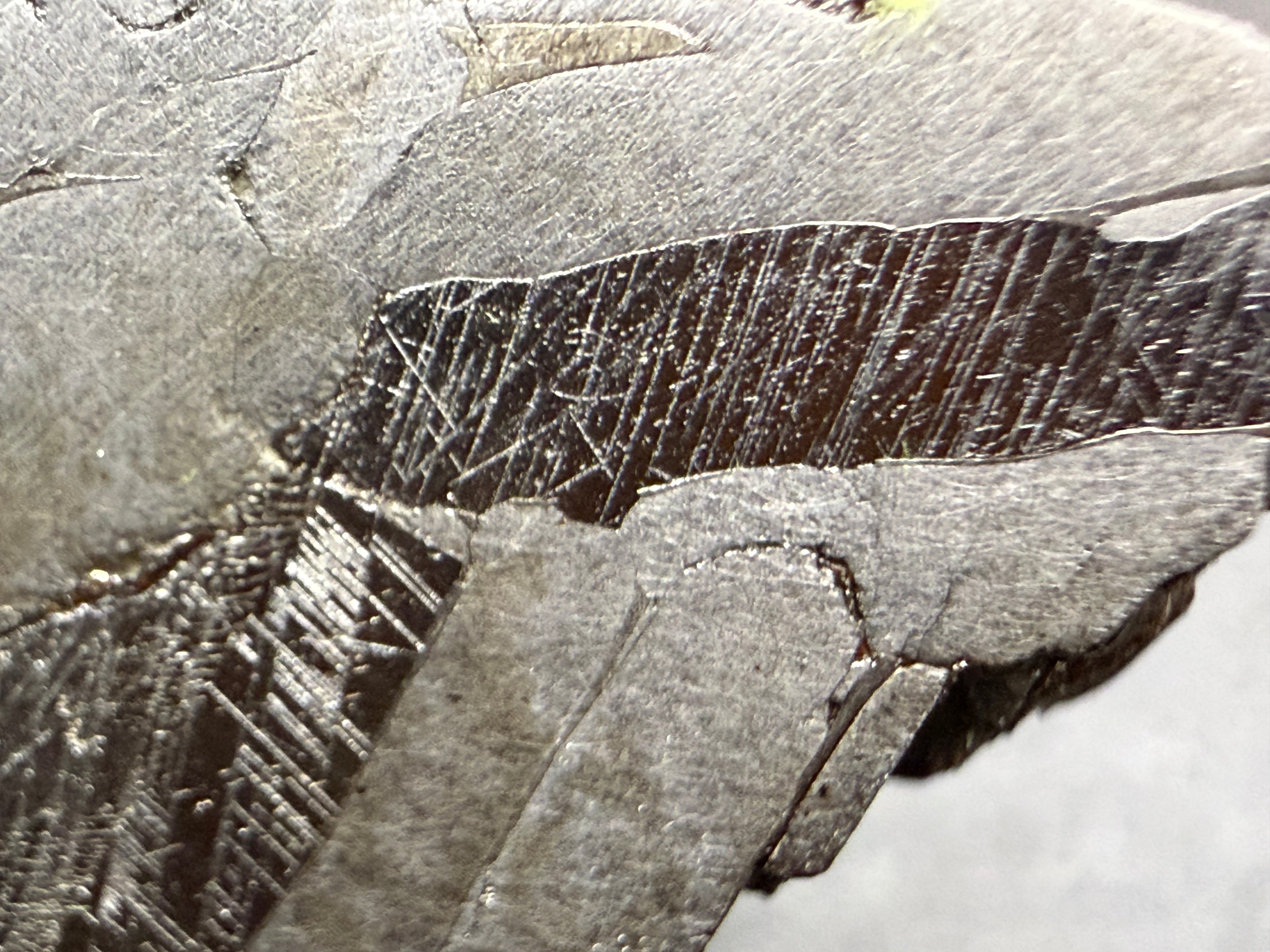 Kaalijarv iron meteorite, IAB-MG, 67.48 g end cut, close-up of the etched face showing a dark band crossed by fine straight Neumann bands, with a second set at lower left